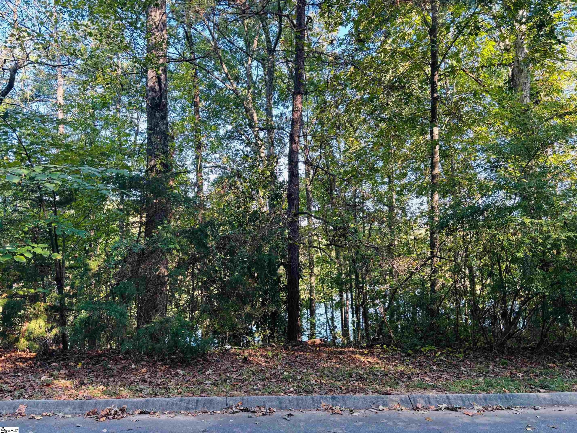 15106 Beacon Ridge Drive