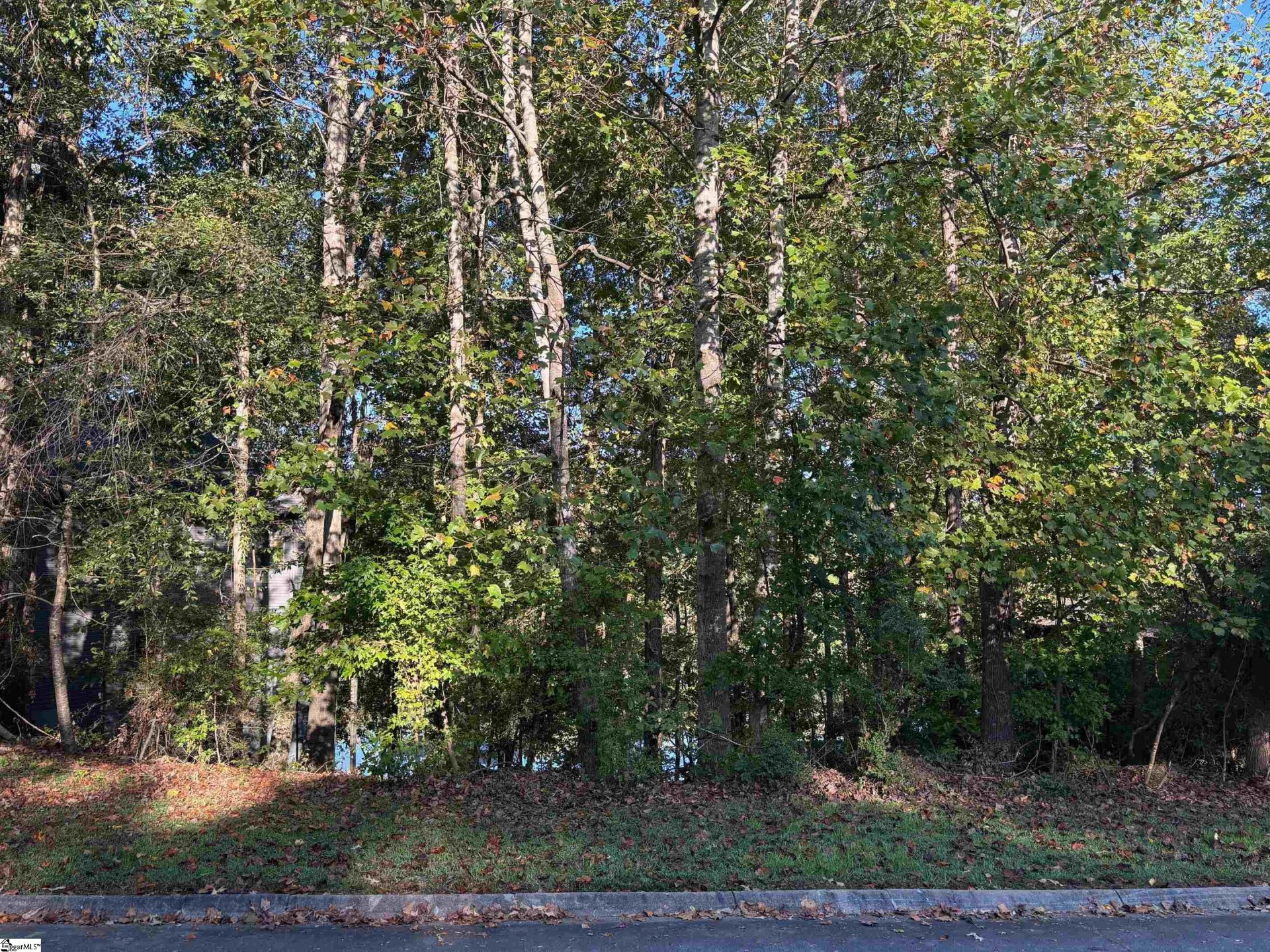 Property image 1 at 15088 Beacon Ridge Drive, Seneca, SC 29678