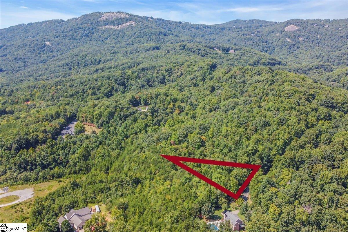 Property at 56 Angleblade Way, Landrum, SC 29356