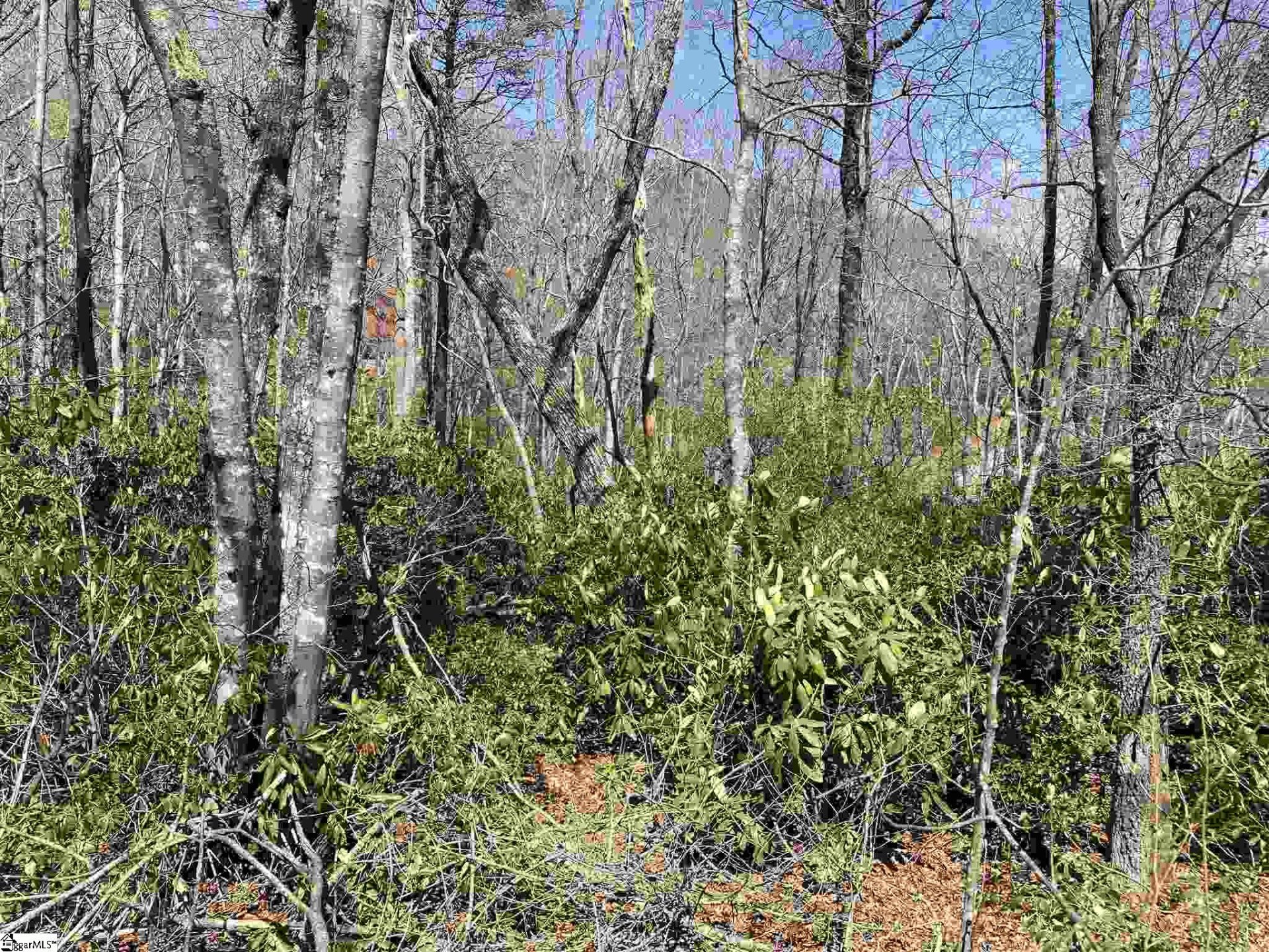 Property at 12 Blazing Star Trail, Landrum, SC 29356