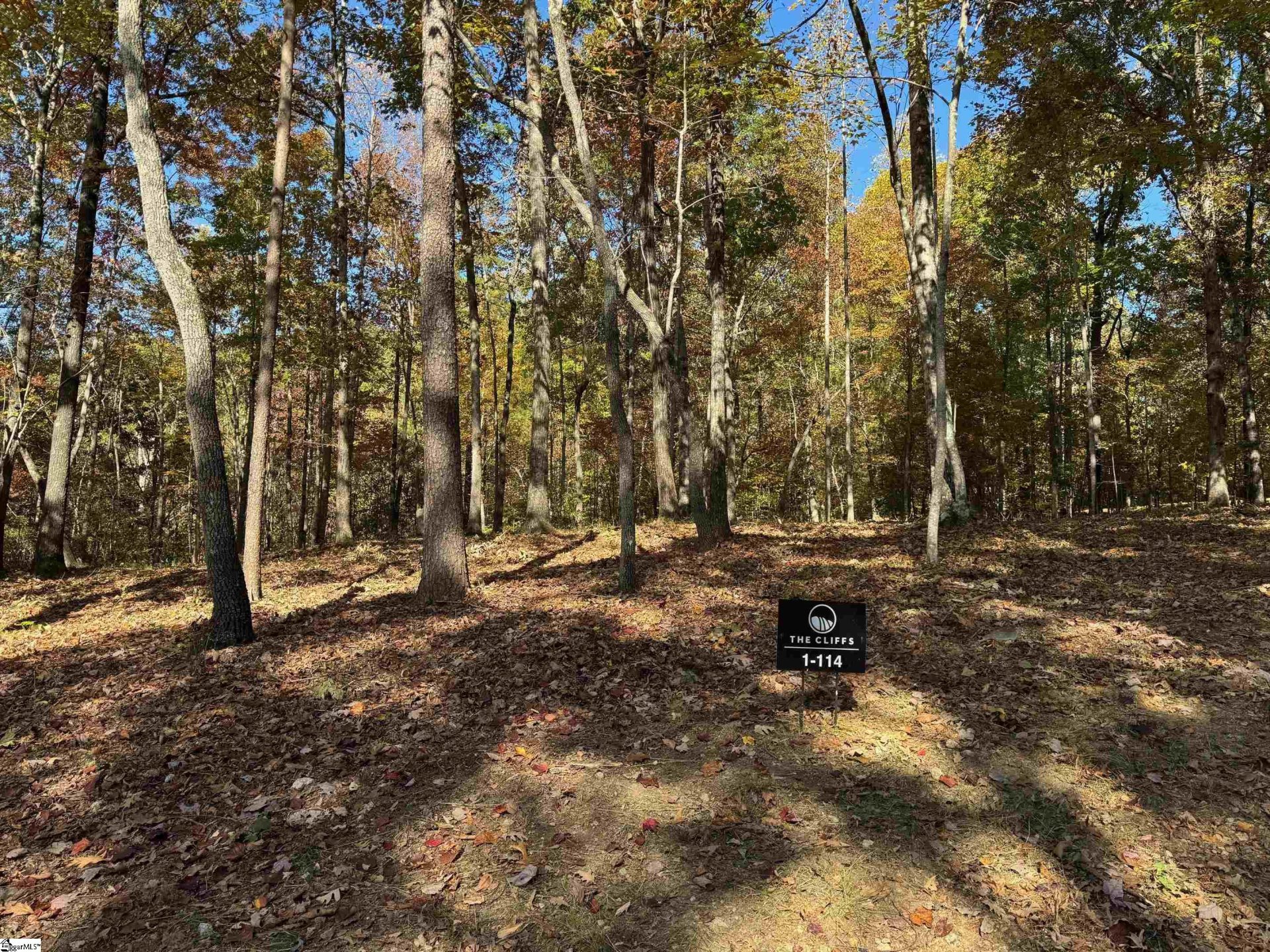 Property image 1 at 45 Darting Sparrow Way, Marietta, SC 29661