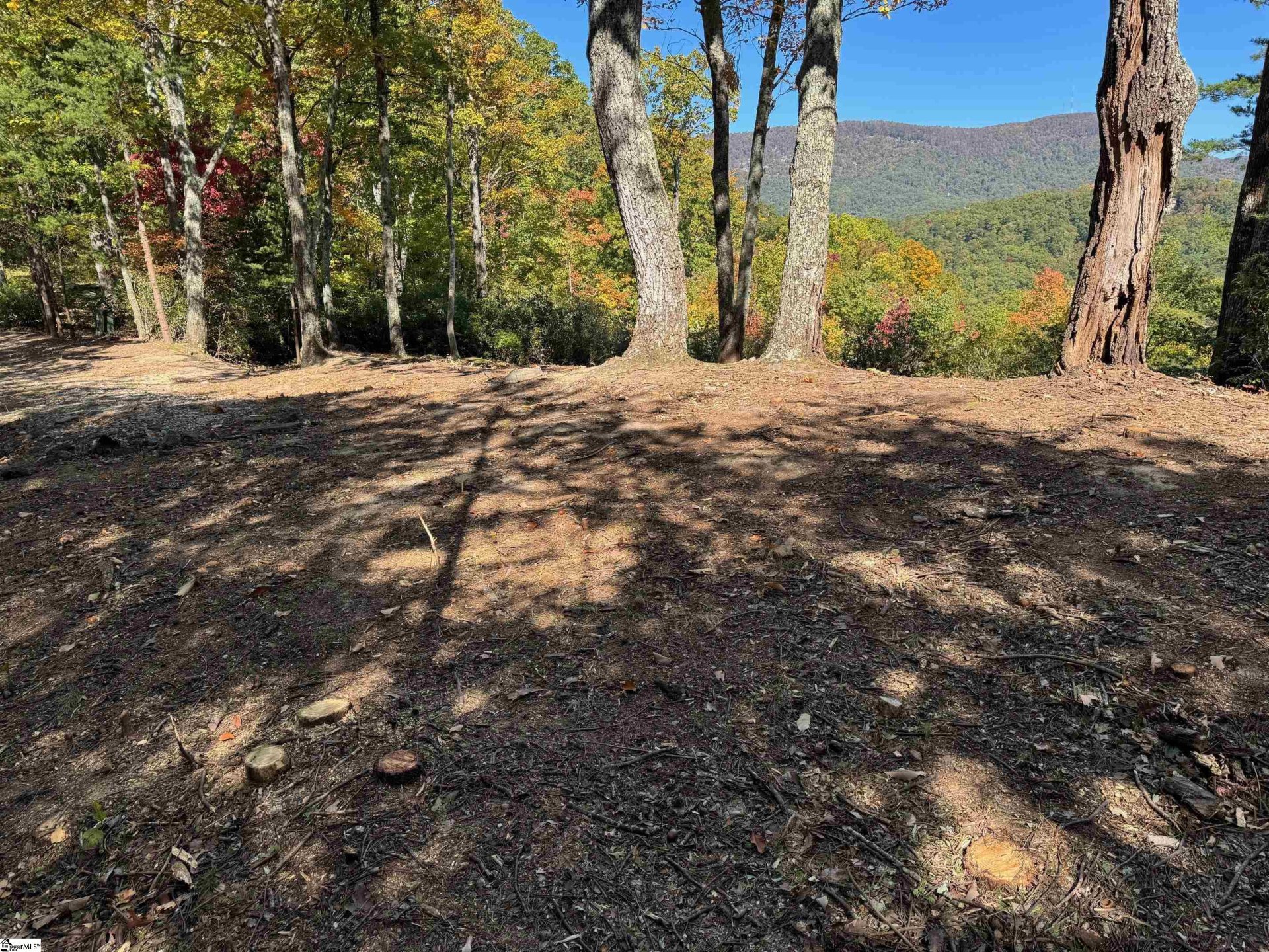 Property at 112 Ridge Pass Way, Landrum, SC 29356