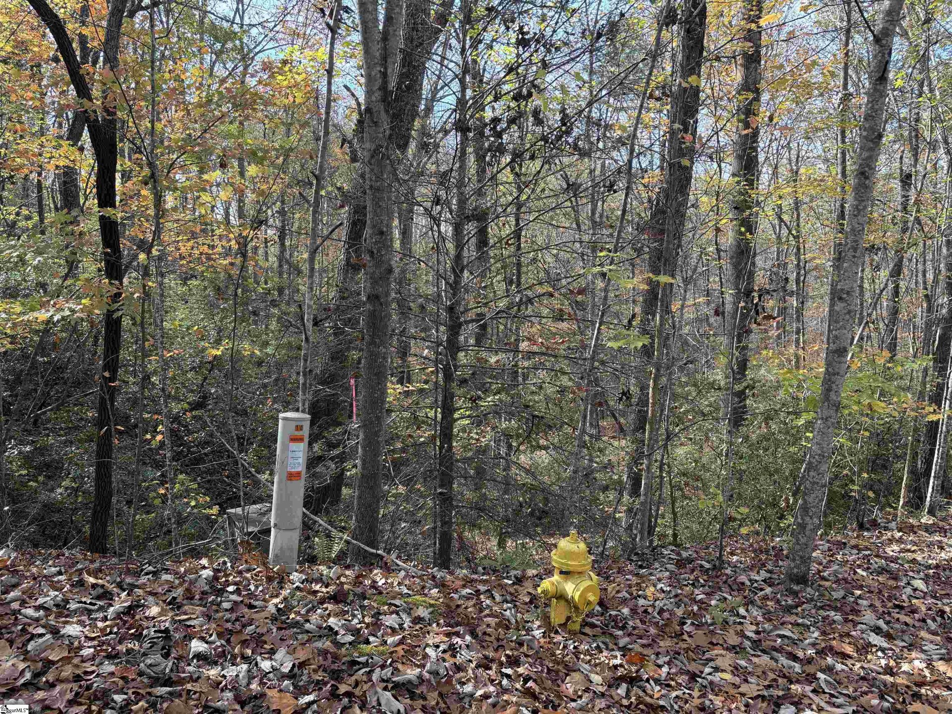 Property at 43 Alsace Way, Travelers Rest, SC 29690