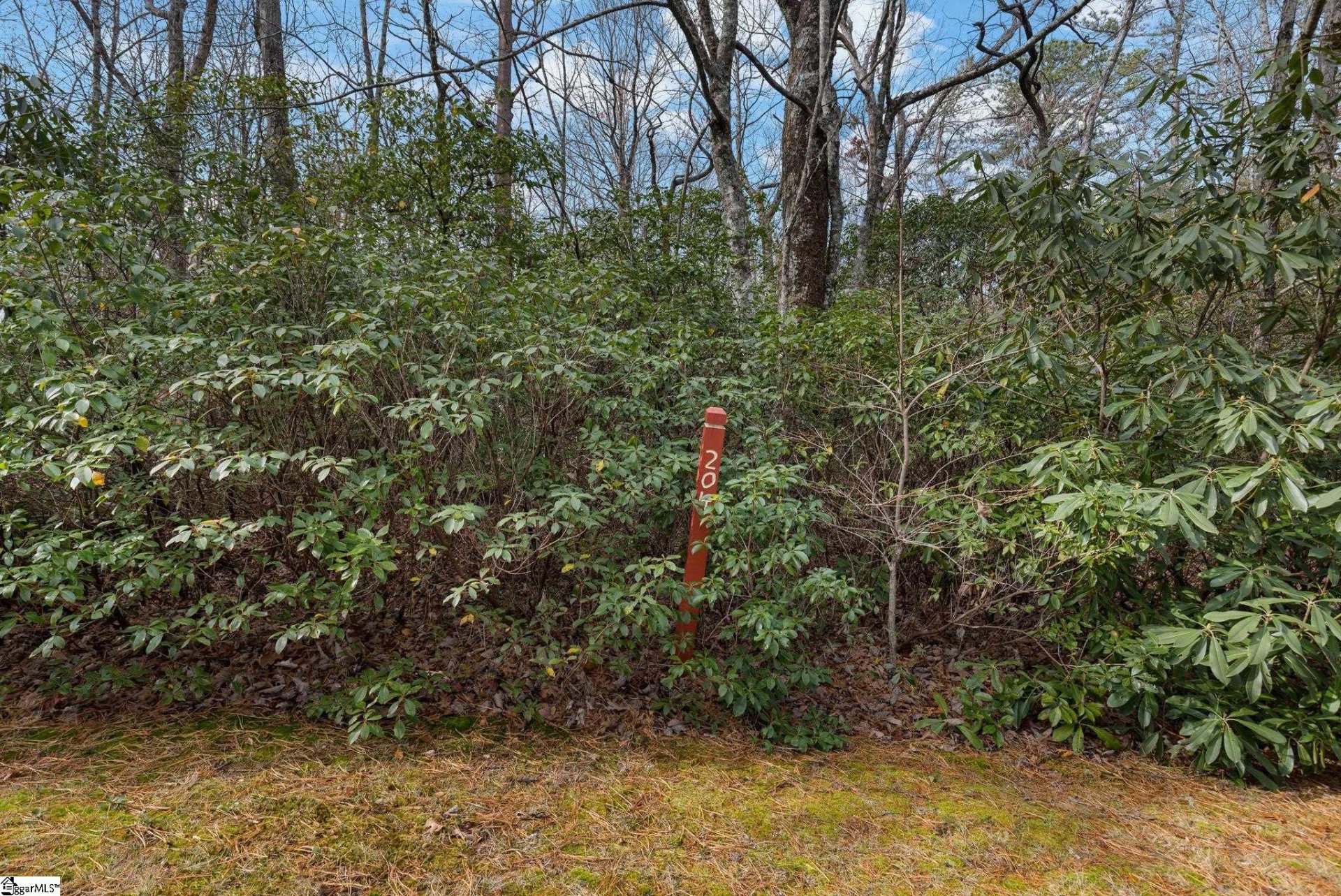 Property at 00 Conifer Falls Road, Cleveland, SC 29635