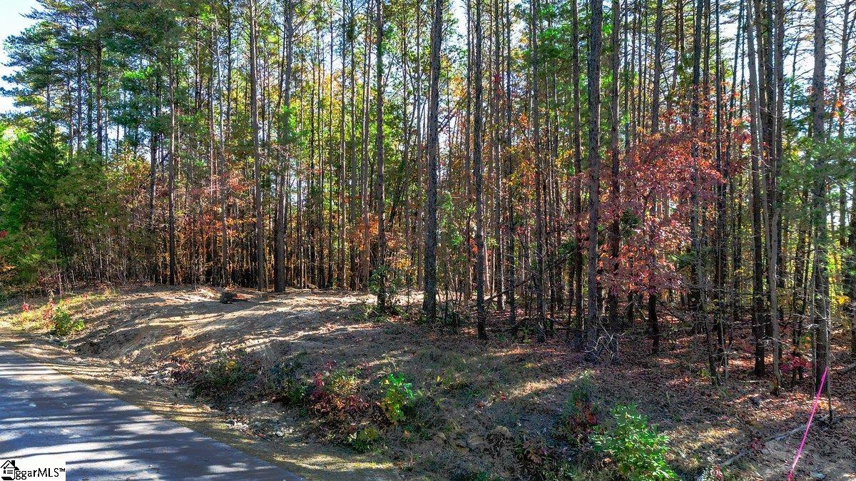 Property image 1 at 00 Stone Terrace Way, Salem, SC 29676