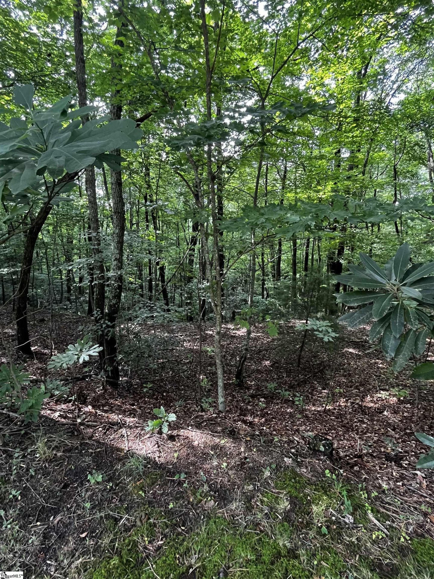 Property at 000 Cliff Ridge Drive, Cleveland, SC 29635