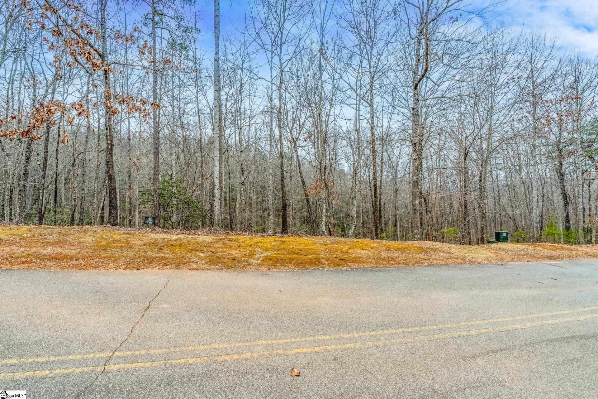 Property at 30 Lakes Edge Way, Marietta, SC 29661