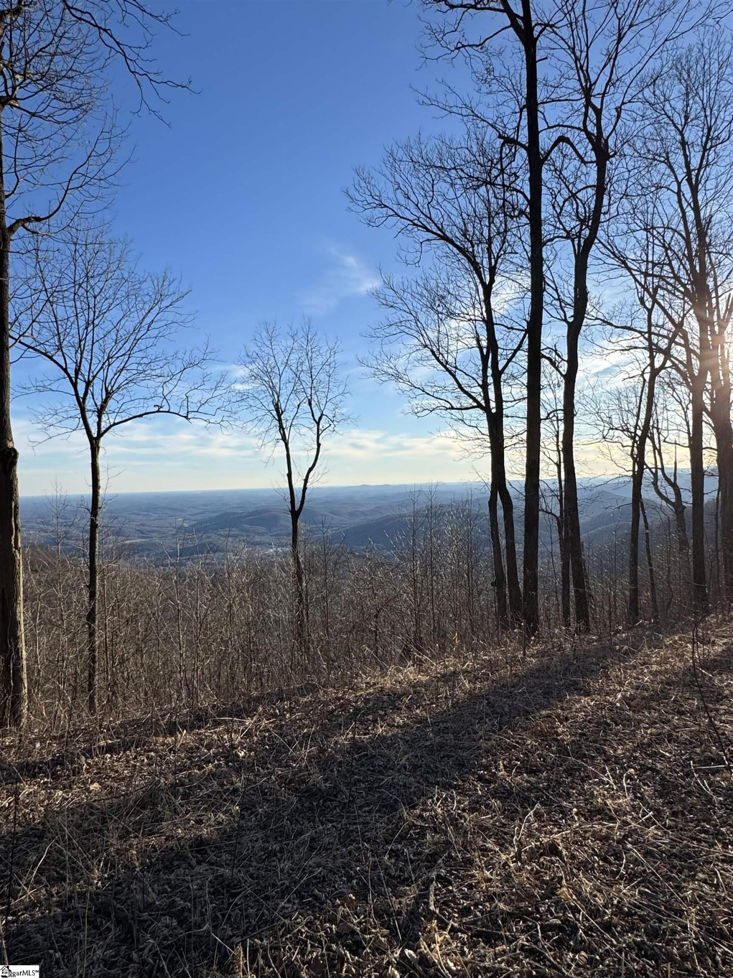 Property at 278 Bella Vista Court, Zirconia, NC 28790