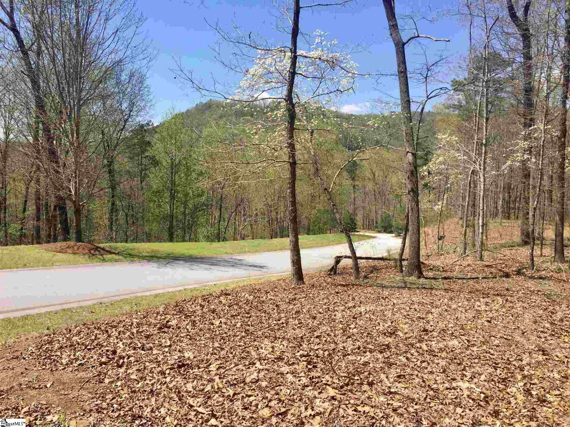 Property at 110 Black Knight Trail, Travelers Rest, SC 29690
