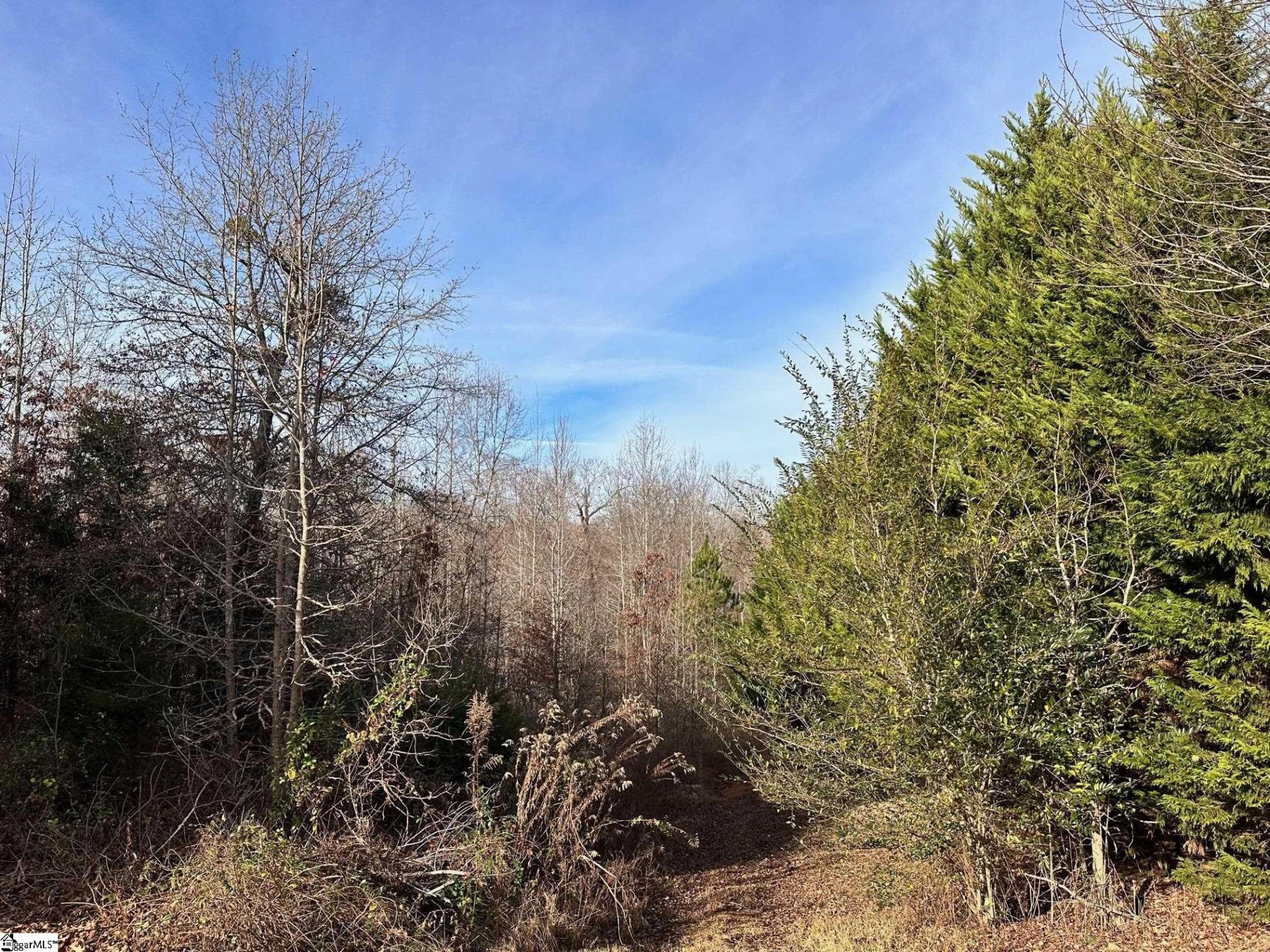 Property image 1 at 129 Karla Court, Fountain Inn, SC 29644