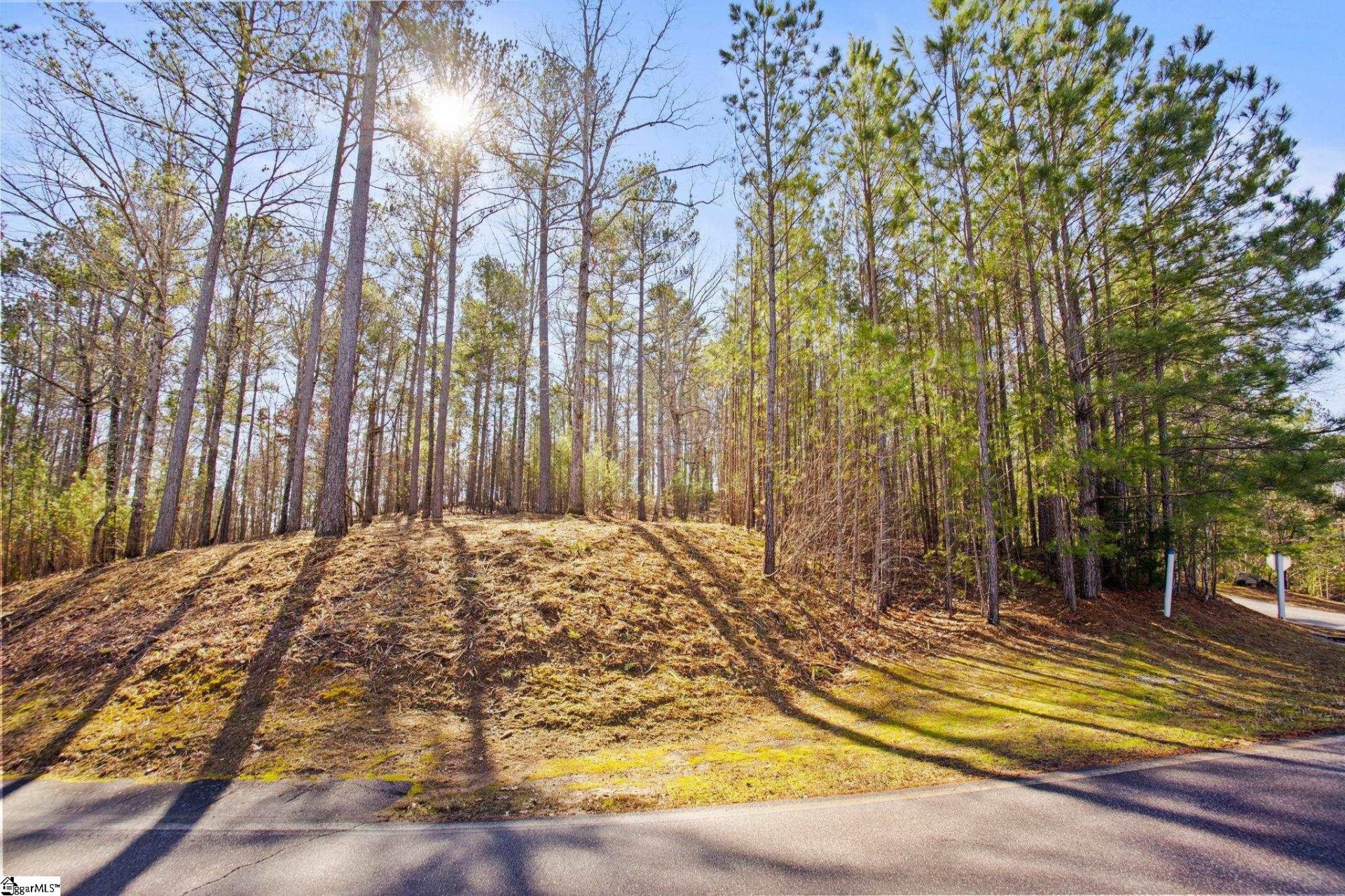 Property image 1 at 0 Long Cove Trail, Salem, SC 29676