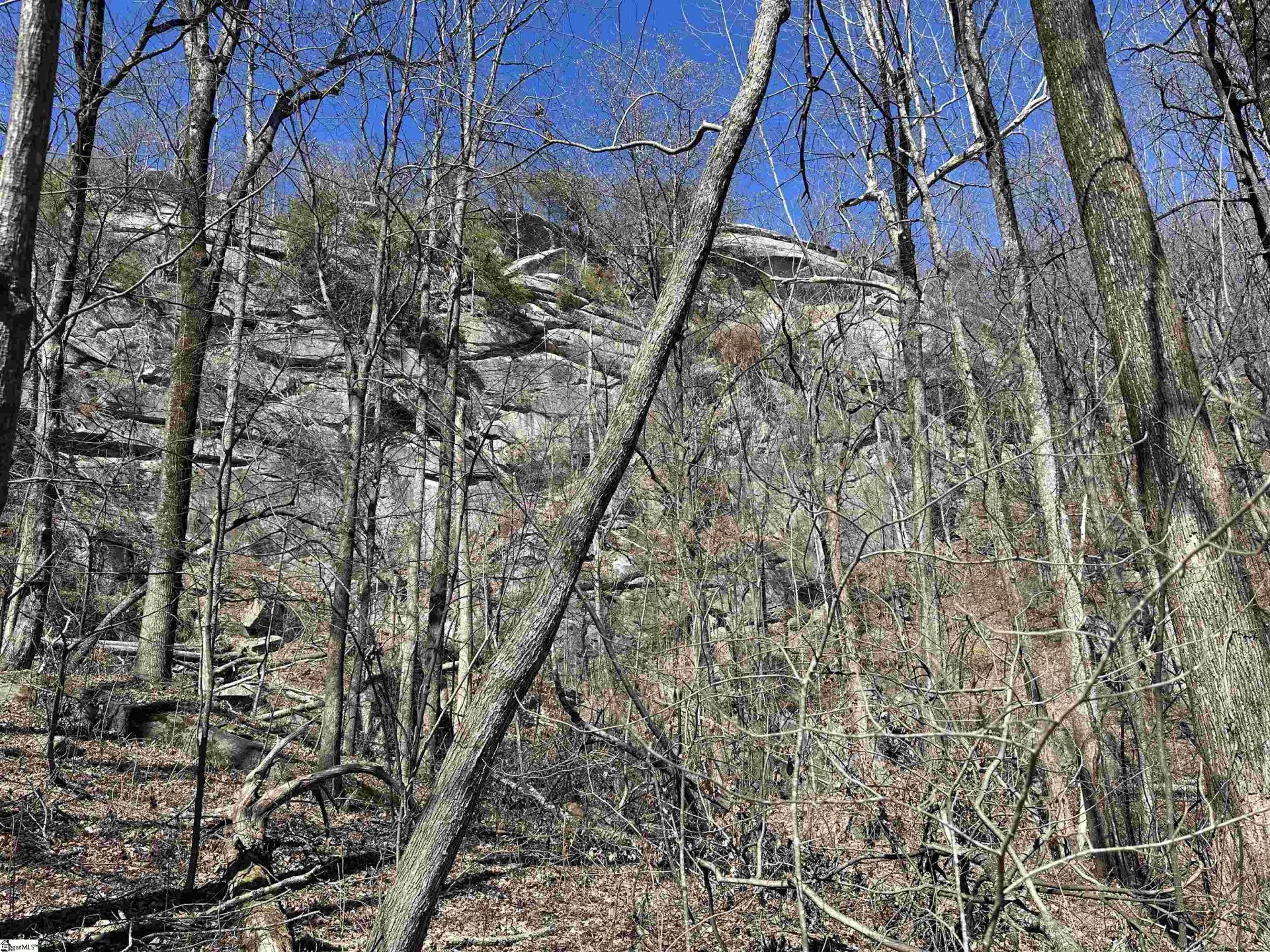 Property at High Country Way, Landrum, SC 29356-3329