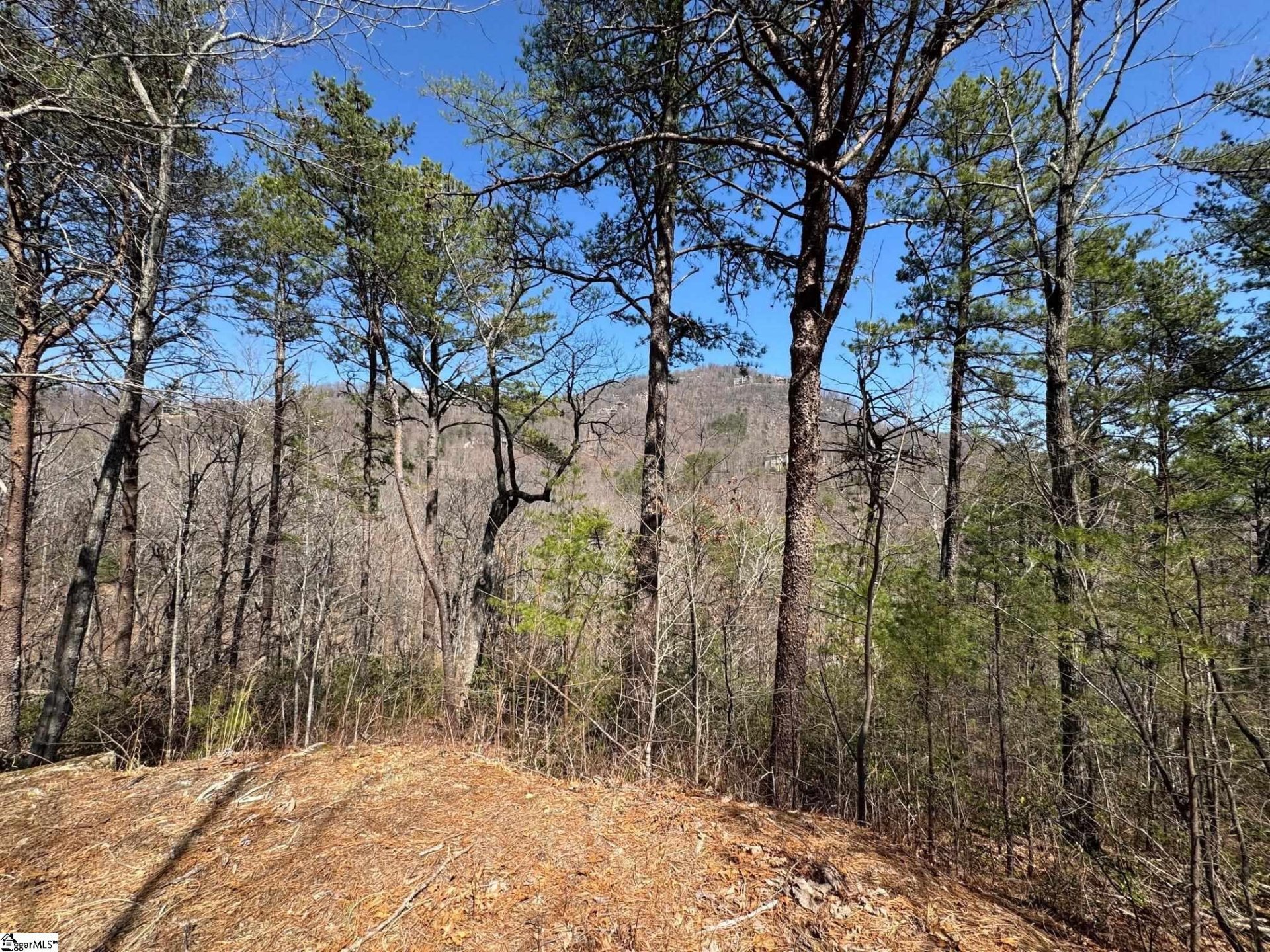 Property at 19 Foggy Ridge Way, Travelers Rest, SC 29690