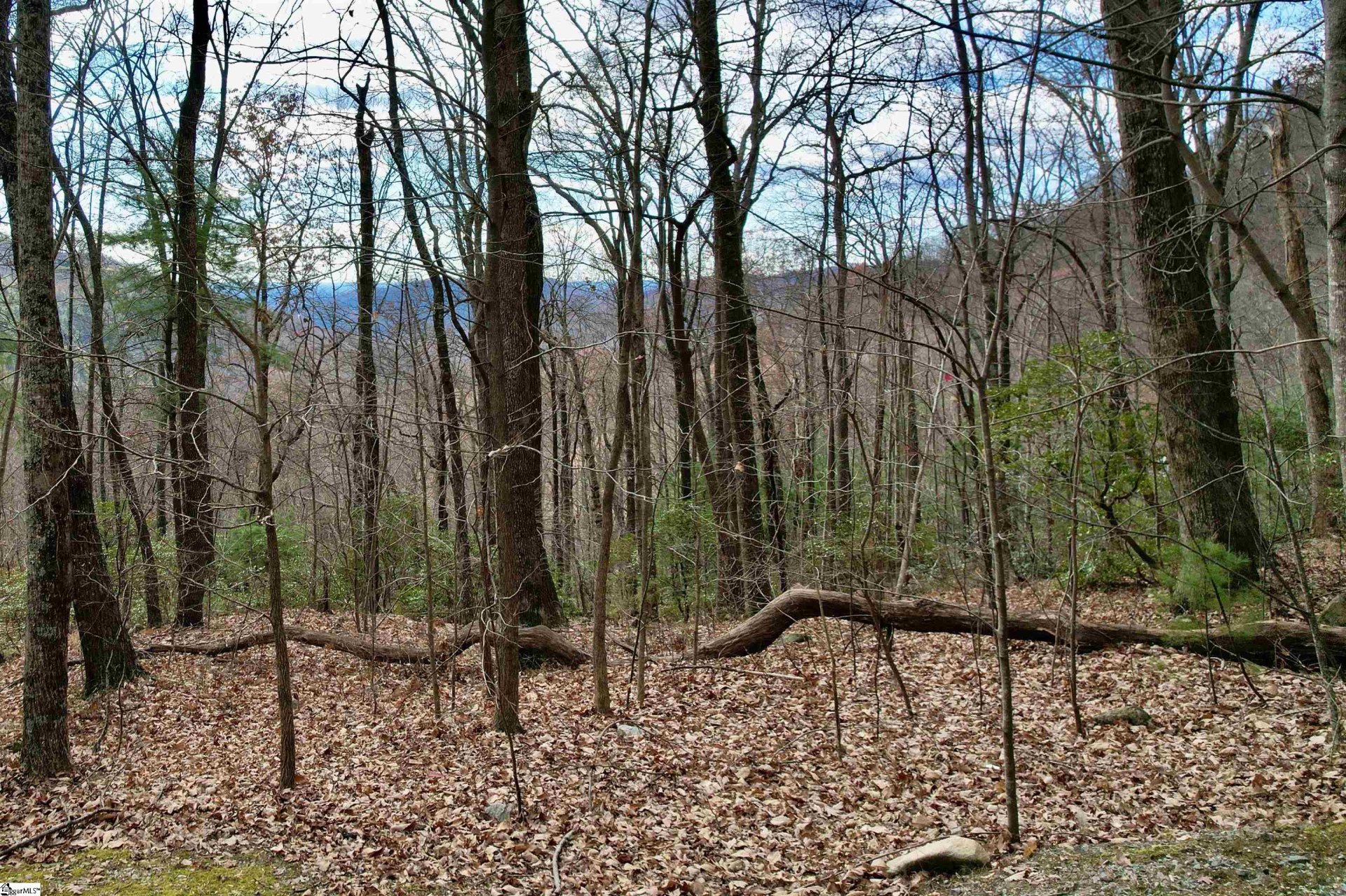 1329 Panther Park Trail