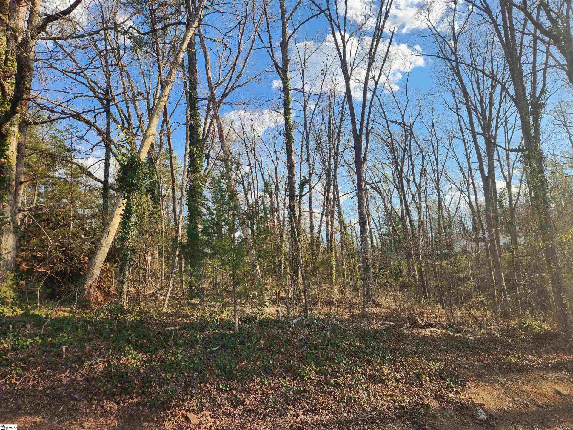 Property image 1 at 109 Buena Vista Drive, Easley, SC 29640