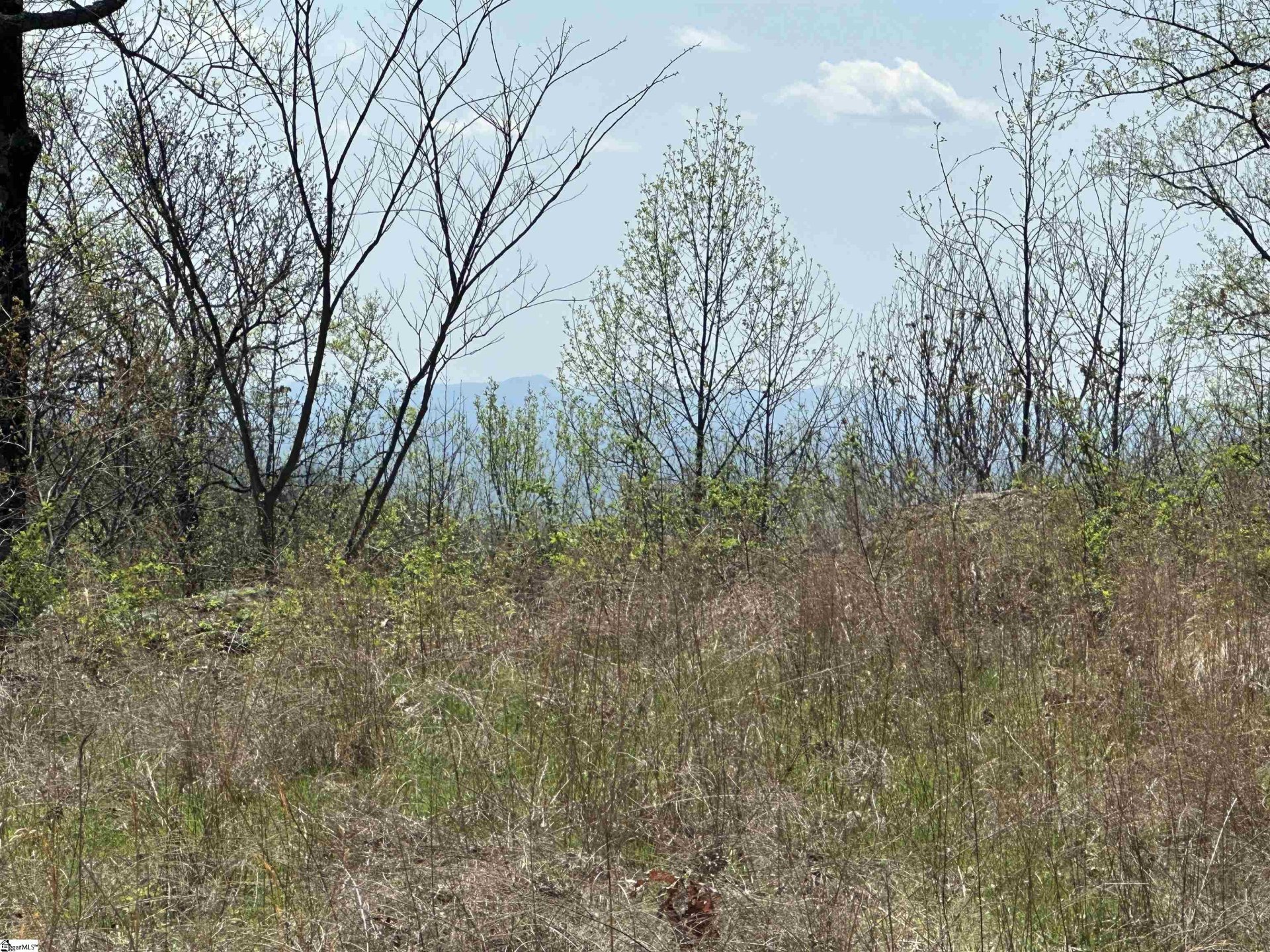 Property at 20 Falling Star Way, Landrum, SC 29356-3329