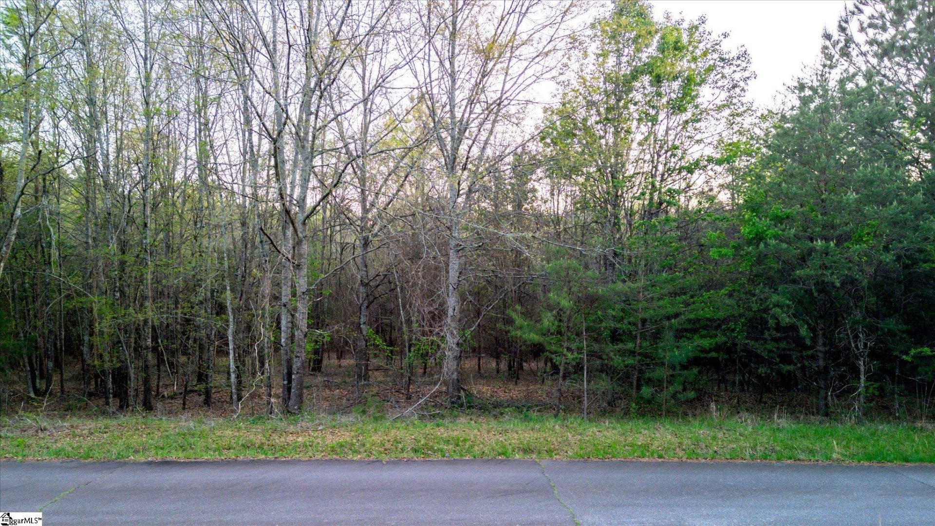 Property image 1 at 00 Nostaw Drive, Liberty, SC 29657