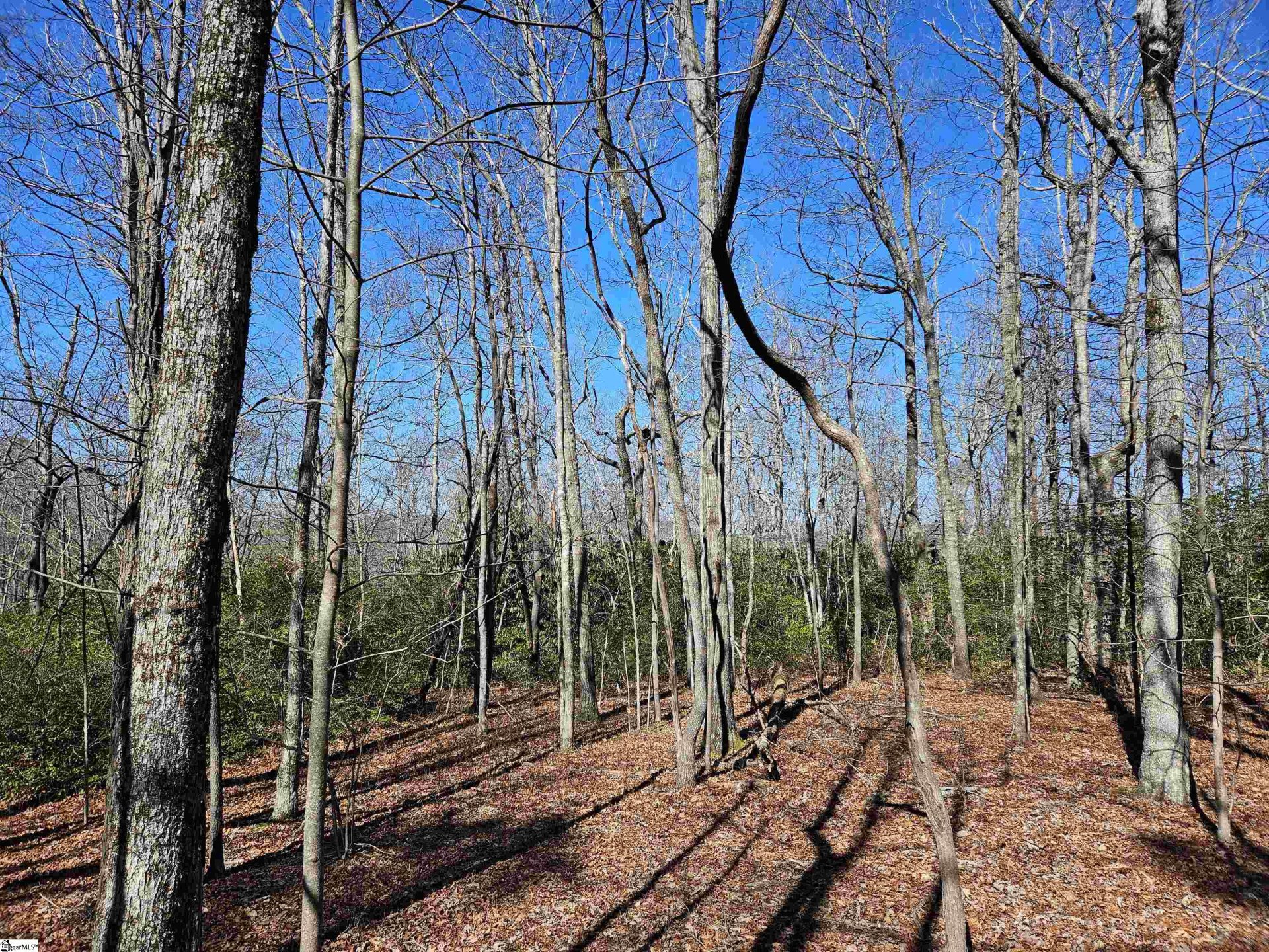 Property image 1 at 6 10 Larkspur Lane, Cleveland, SC 29635