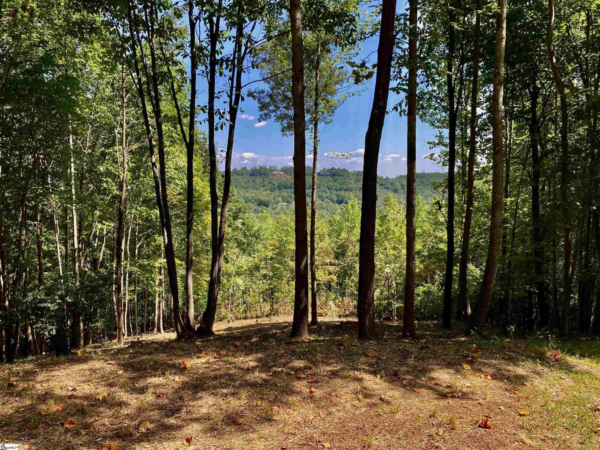 501 Blue Bonnet Trail