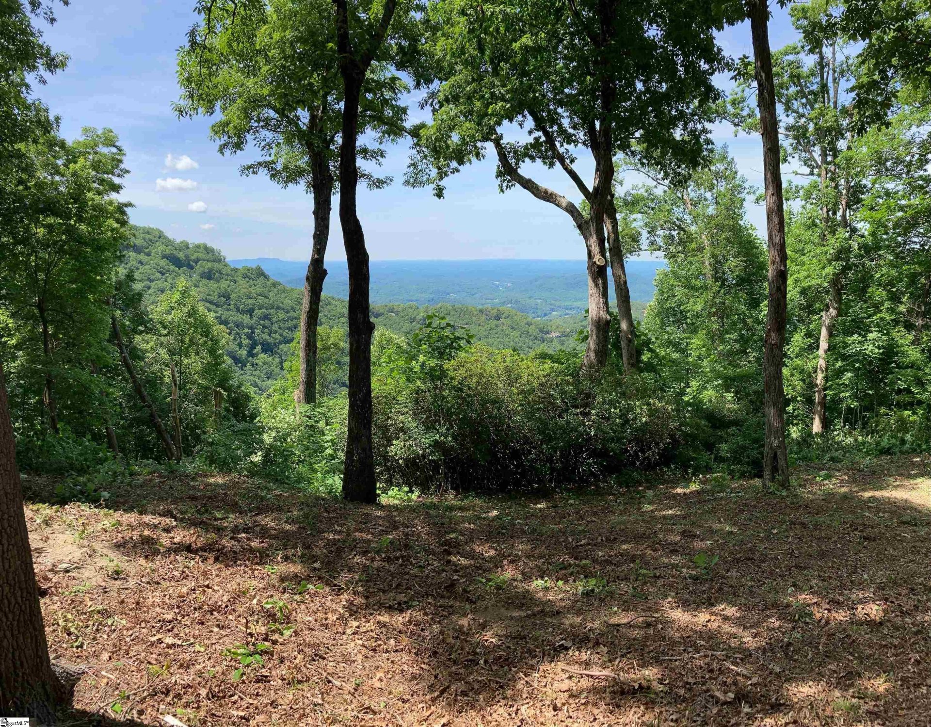 1399 Mountain Summit Road