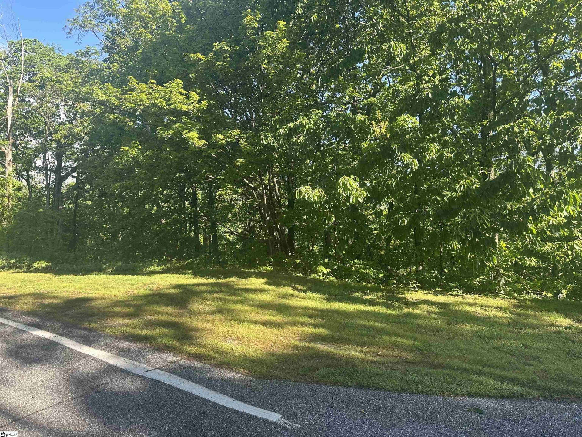 Property at 53 Harrier Lane, Landrum, SC 29356-3329