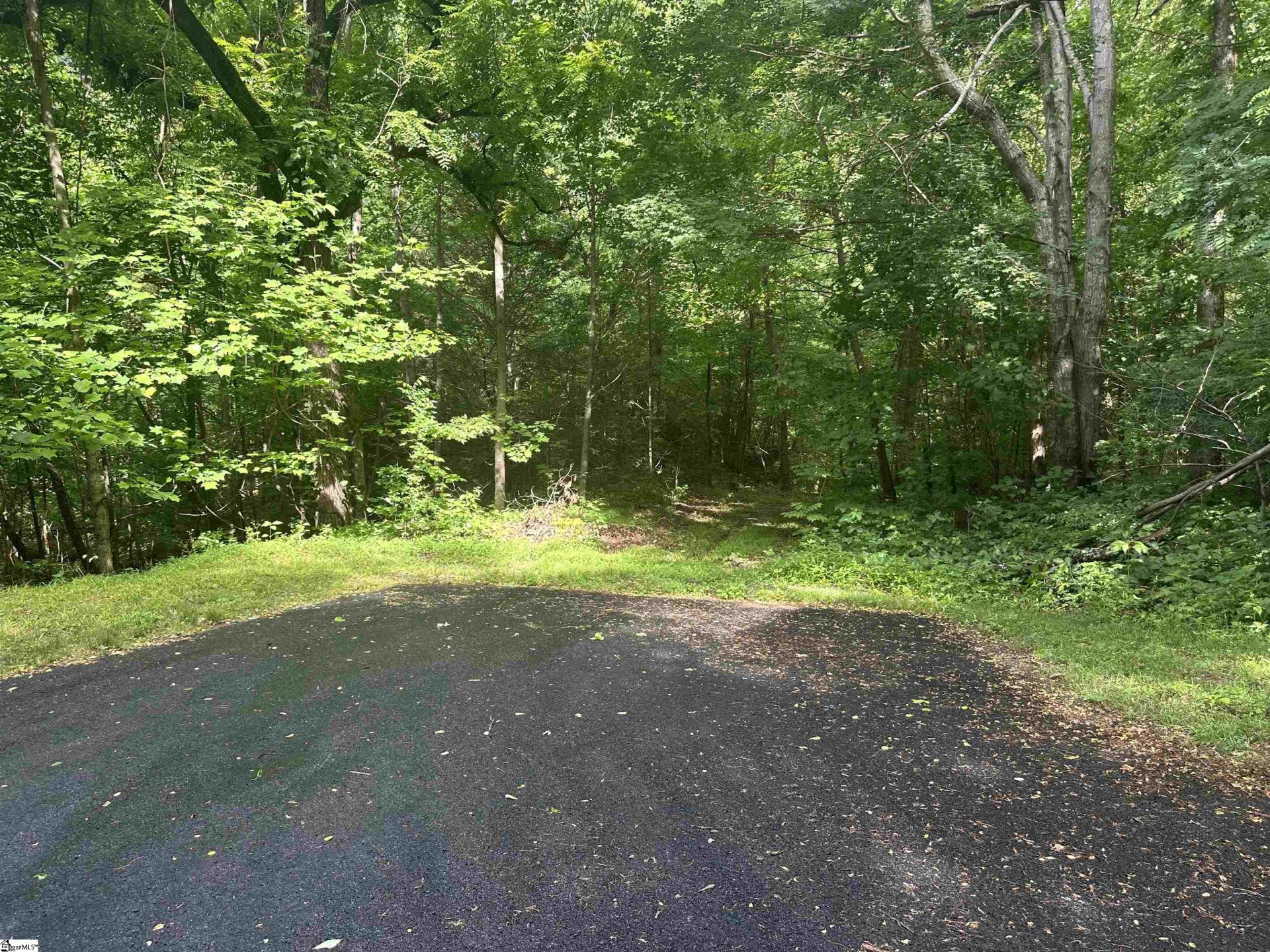 Property at 76 Southview Ledge Road, Landrum, SC 29356-3329