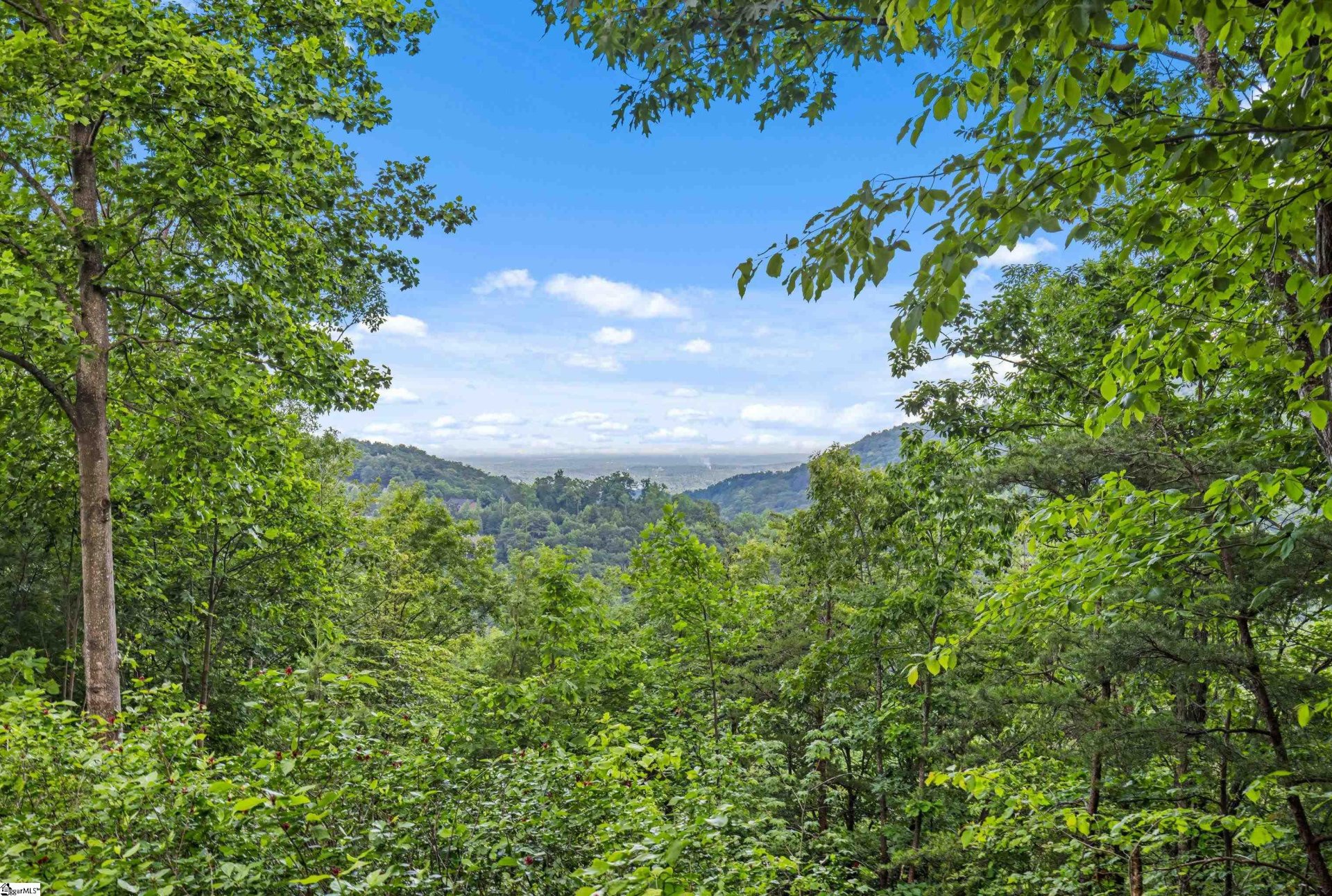 Property at 214 Craggy Rock Lane, Landrum, SC 29356