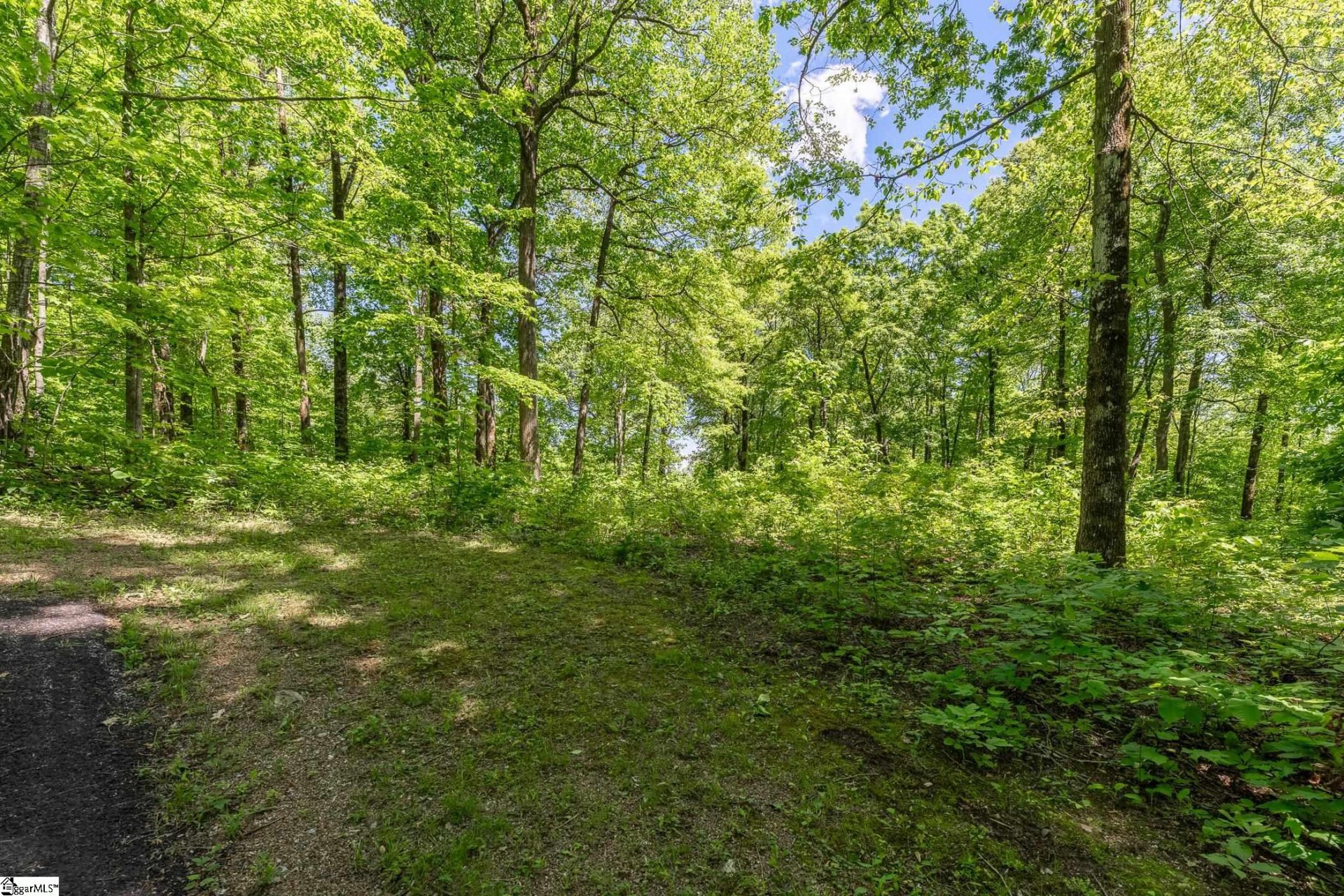 Property at 149 Lacey Fern Way, Landrum, SC 29356