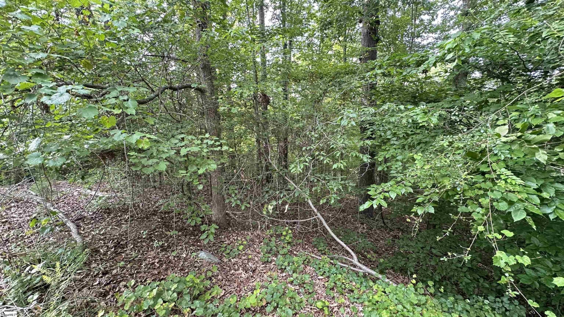 Property at 00 Buttercup Court, Westminster, SC 29693