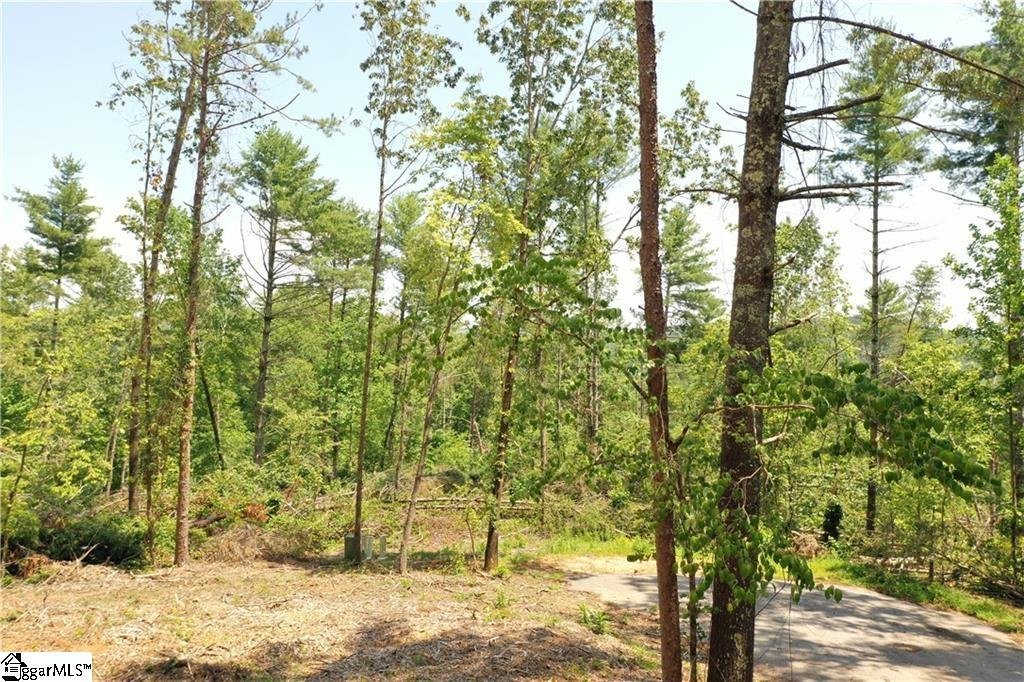 Property at 113 Sweetshrub Court, Sunset, SC 29685