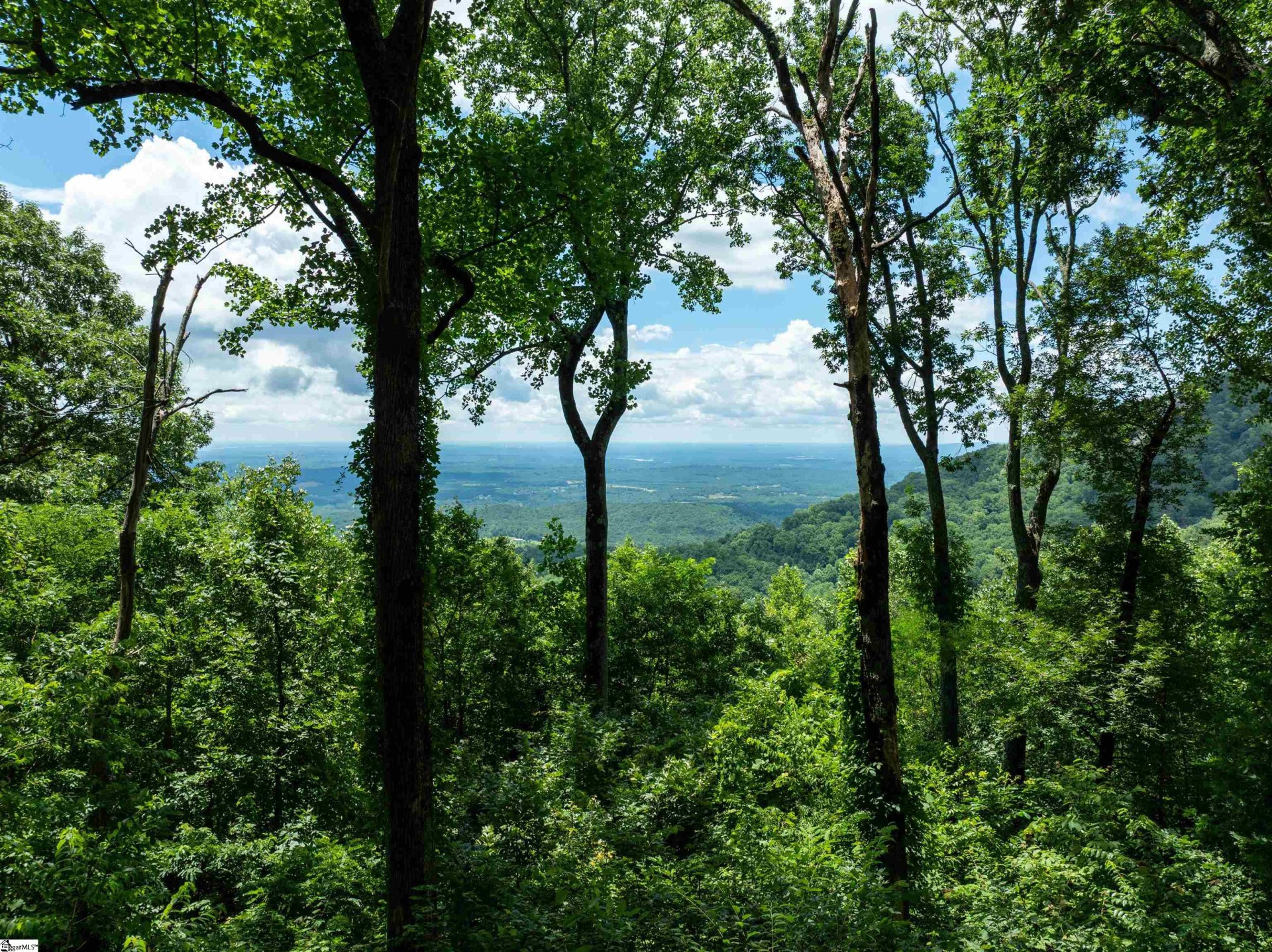 Property at 22 Raven Road, Landrum, SC 29356