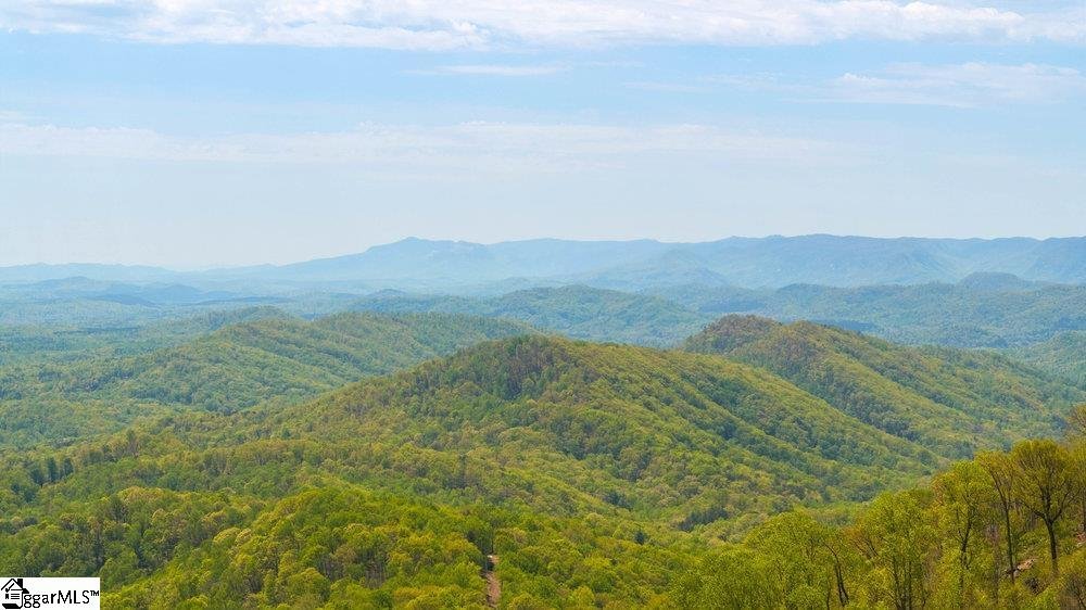 Property at 0 Mica Flat Drive, Landrum, SC 29356