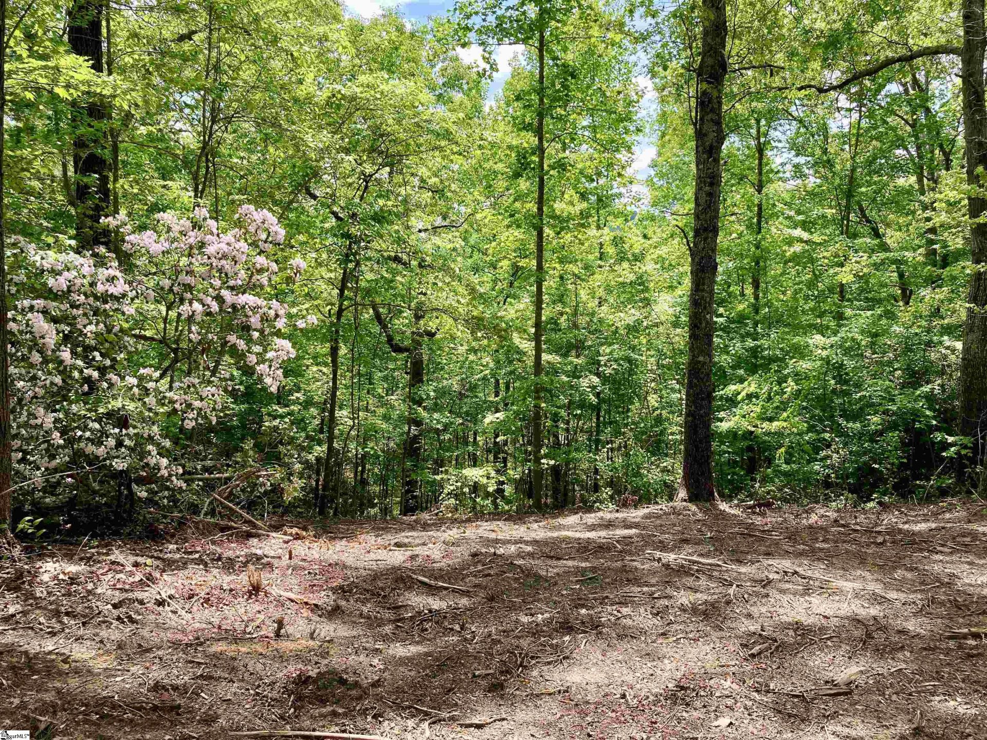 Property at 5 Water View Court, Travelers Rest, SC 29690