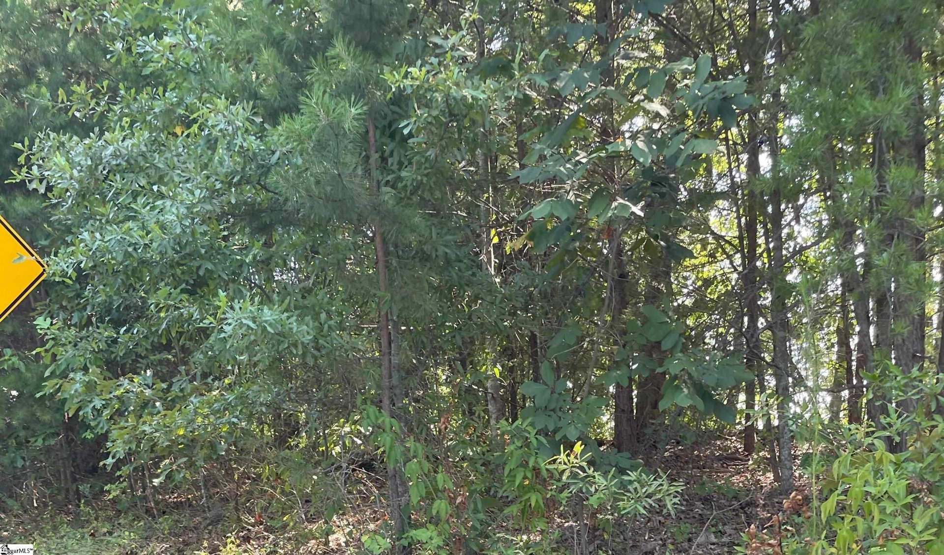 504 Northridge Pointe Drive