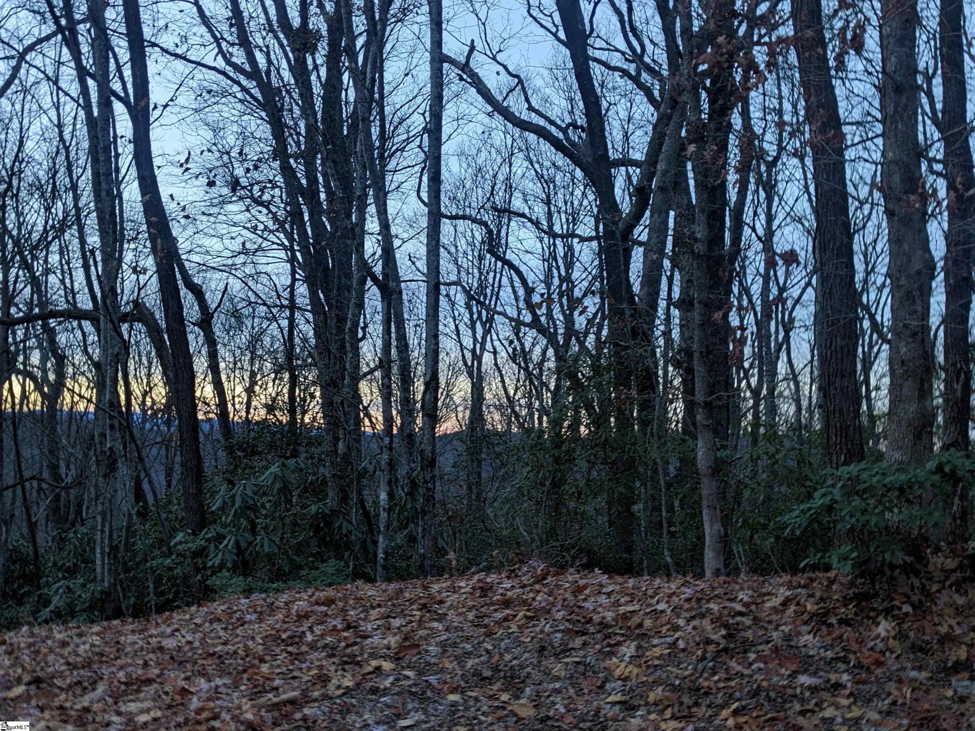 609 Cliff Ridge Drive