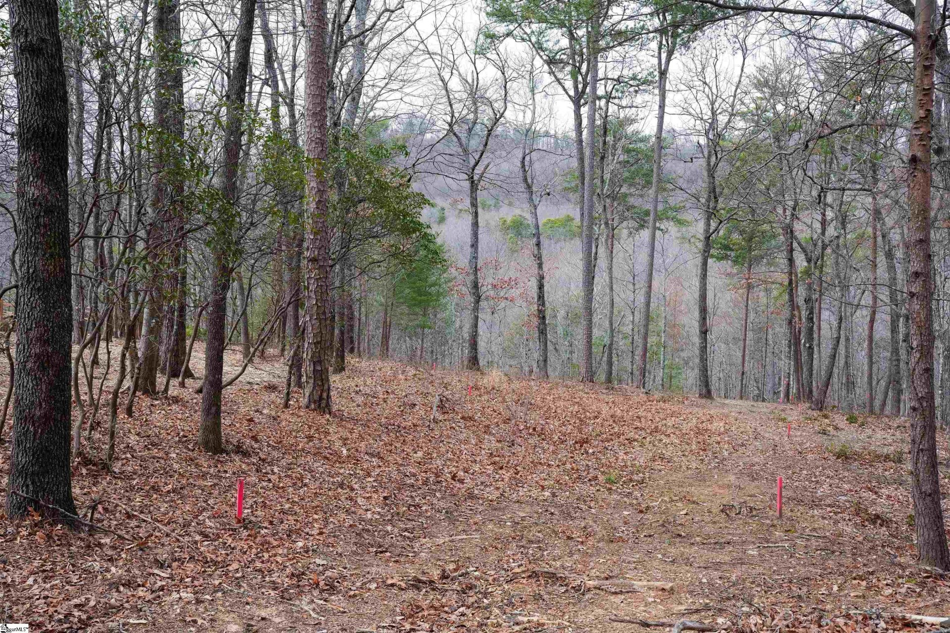 Property at 44 Mountain Oak Lane, Travelers Rest, SC 29690