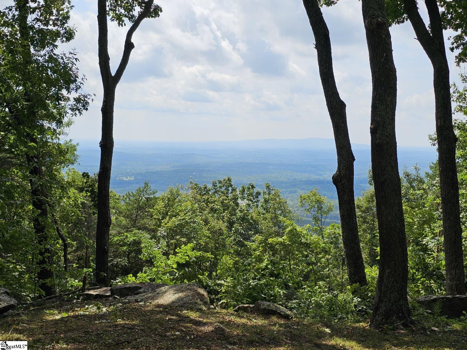 Property at 101 Southview Ledge Road, Landrum, SC 29356