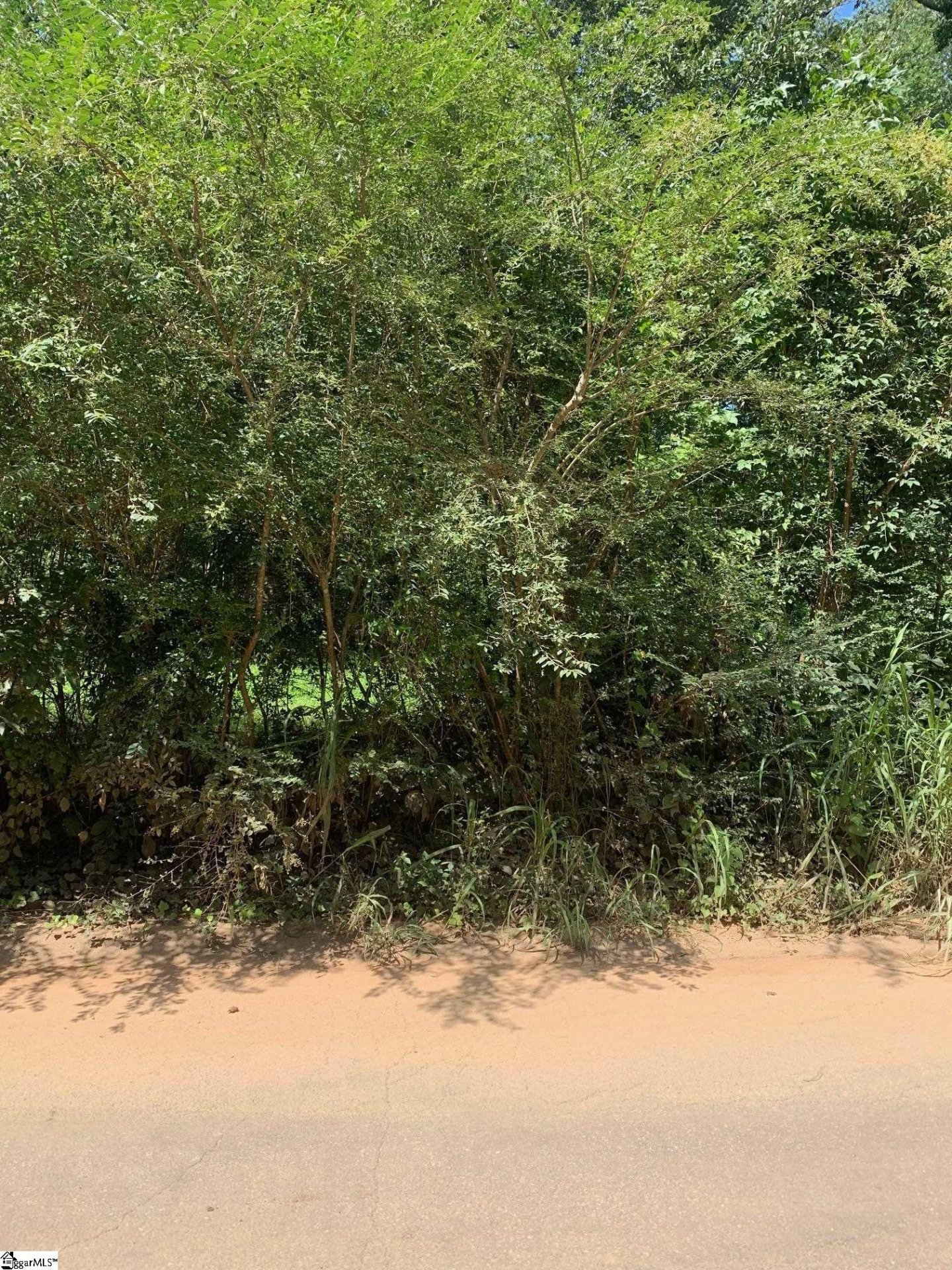 405 Lake Circle Drive