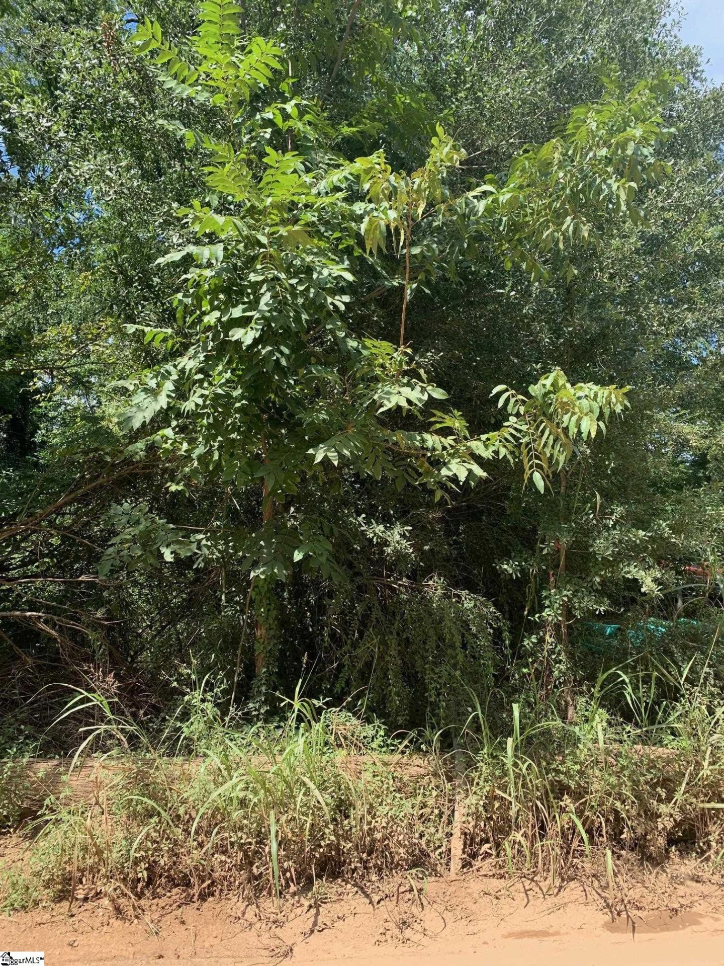 Property image 1 at 409 Lake Circle Drive, Greenville, SC 29605