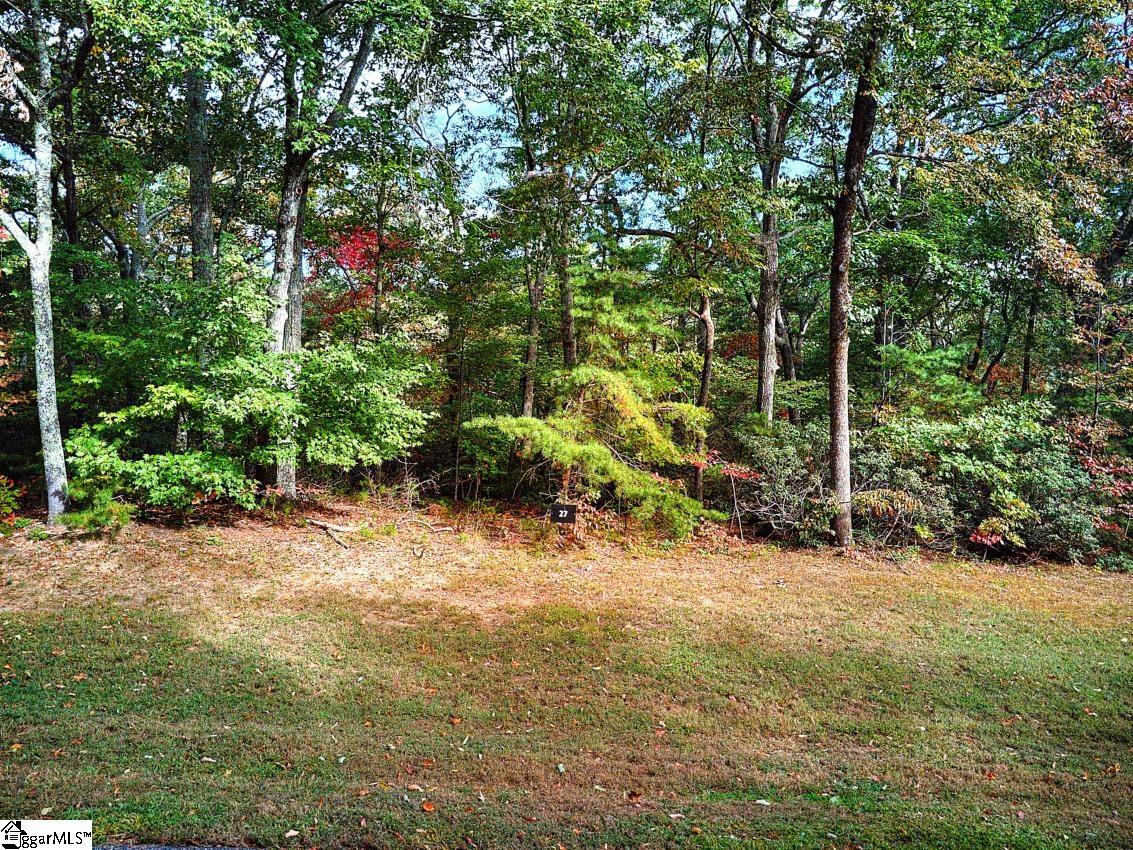 Property at 622 Plumley Summit Road, Landrum, SC 29356