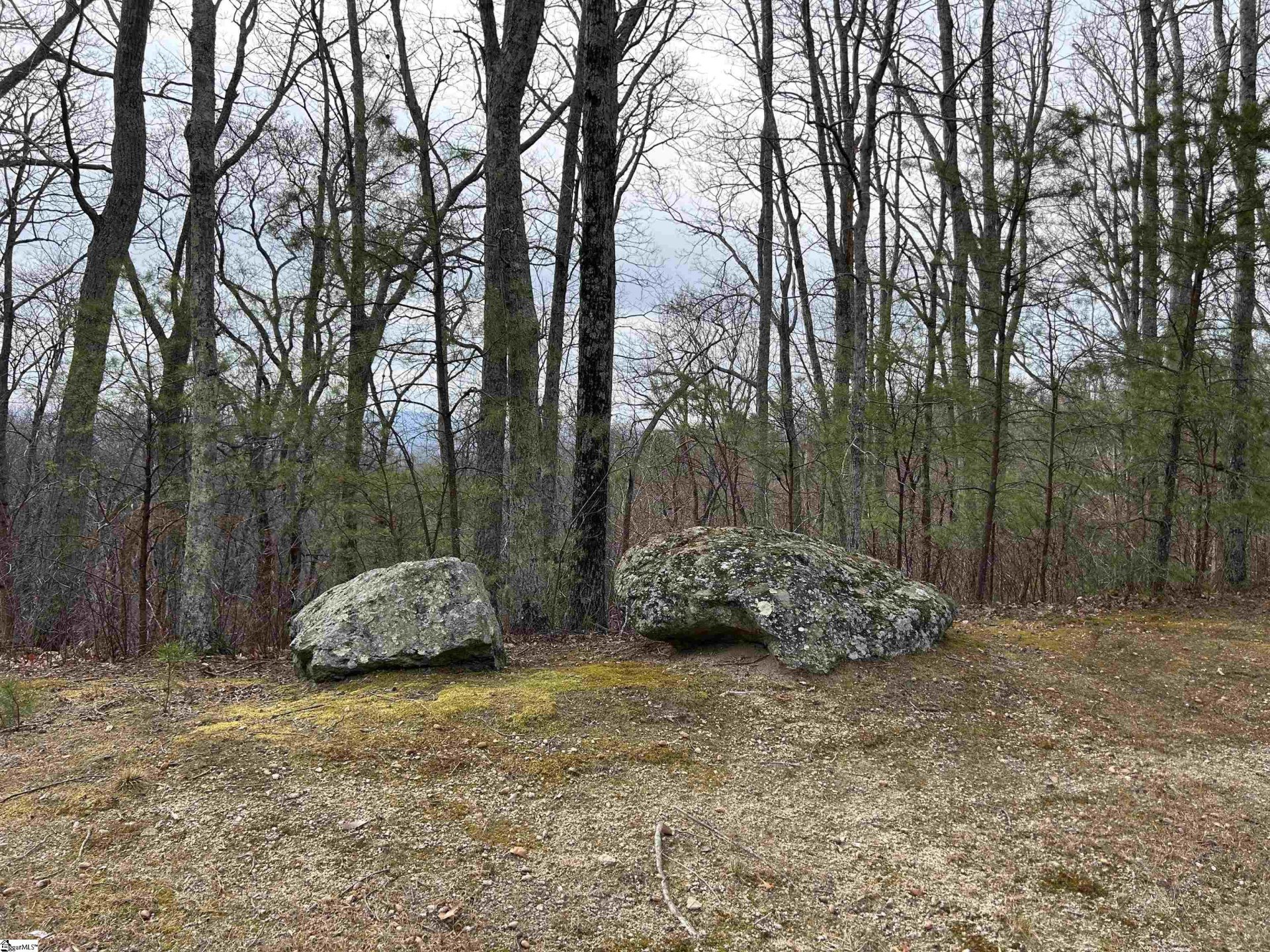 633 Plumley Summit Road