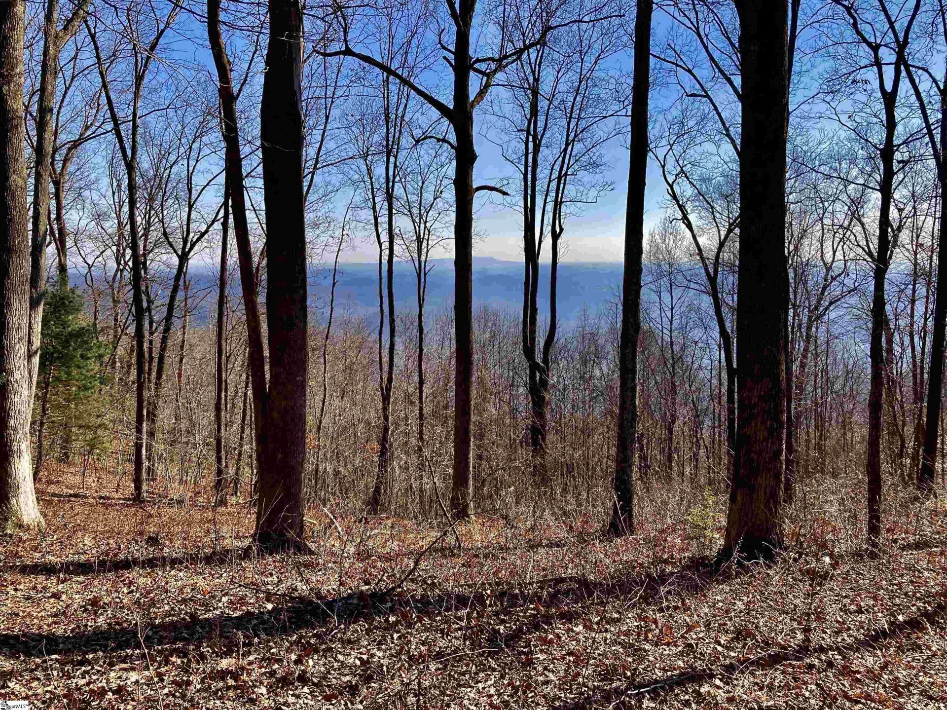 1000 Mountain Summit Road