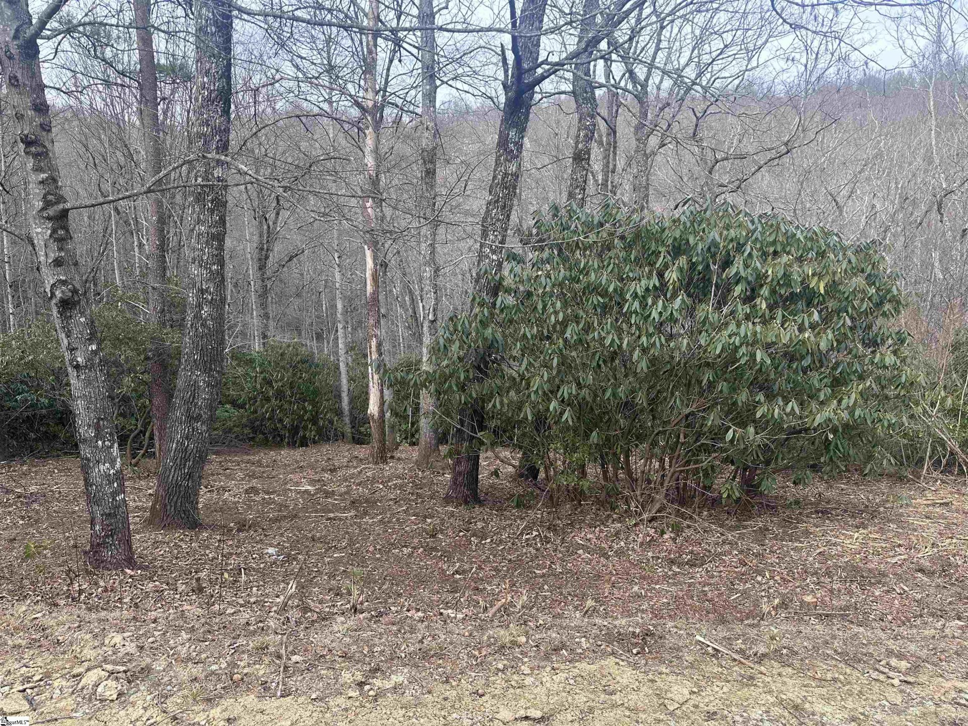 24 Blazing Star Trail