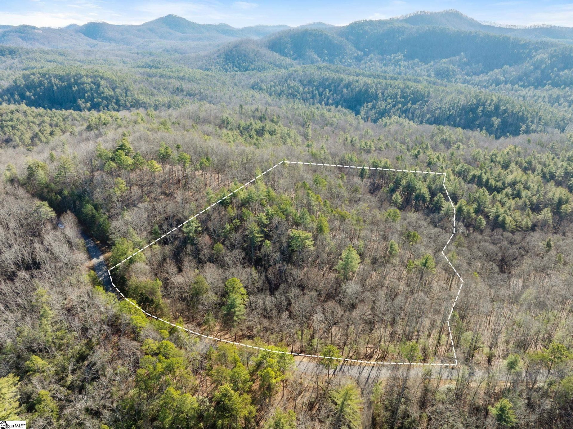 163 Eastatoe Parkway