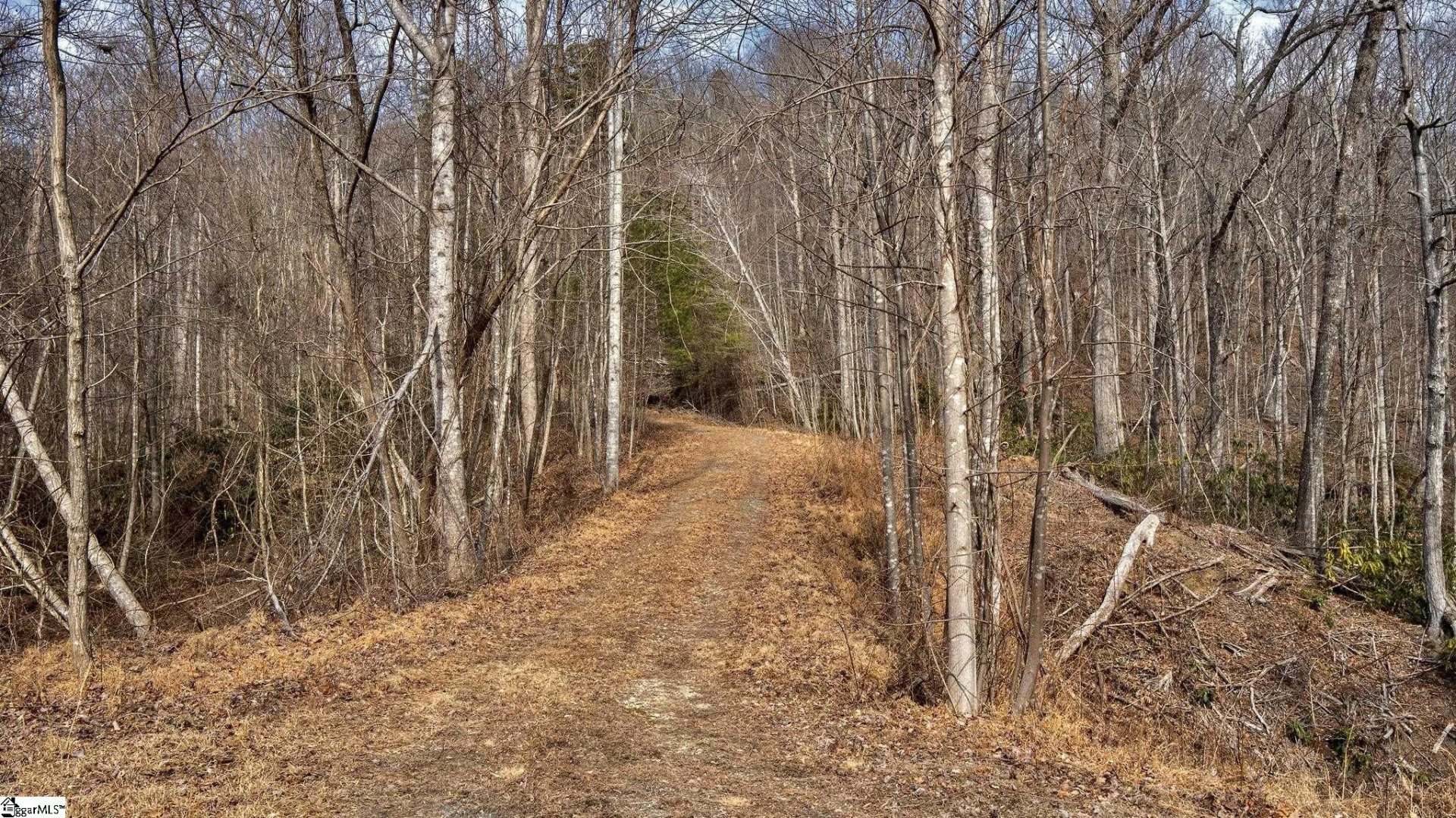 146 Glassy Falls Trail