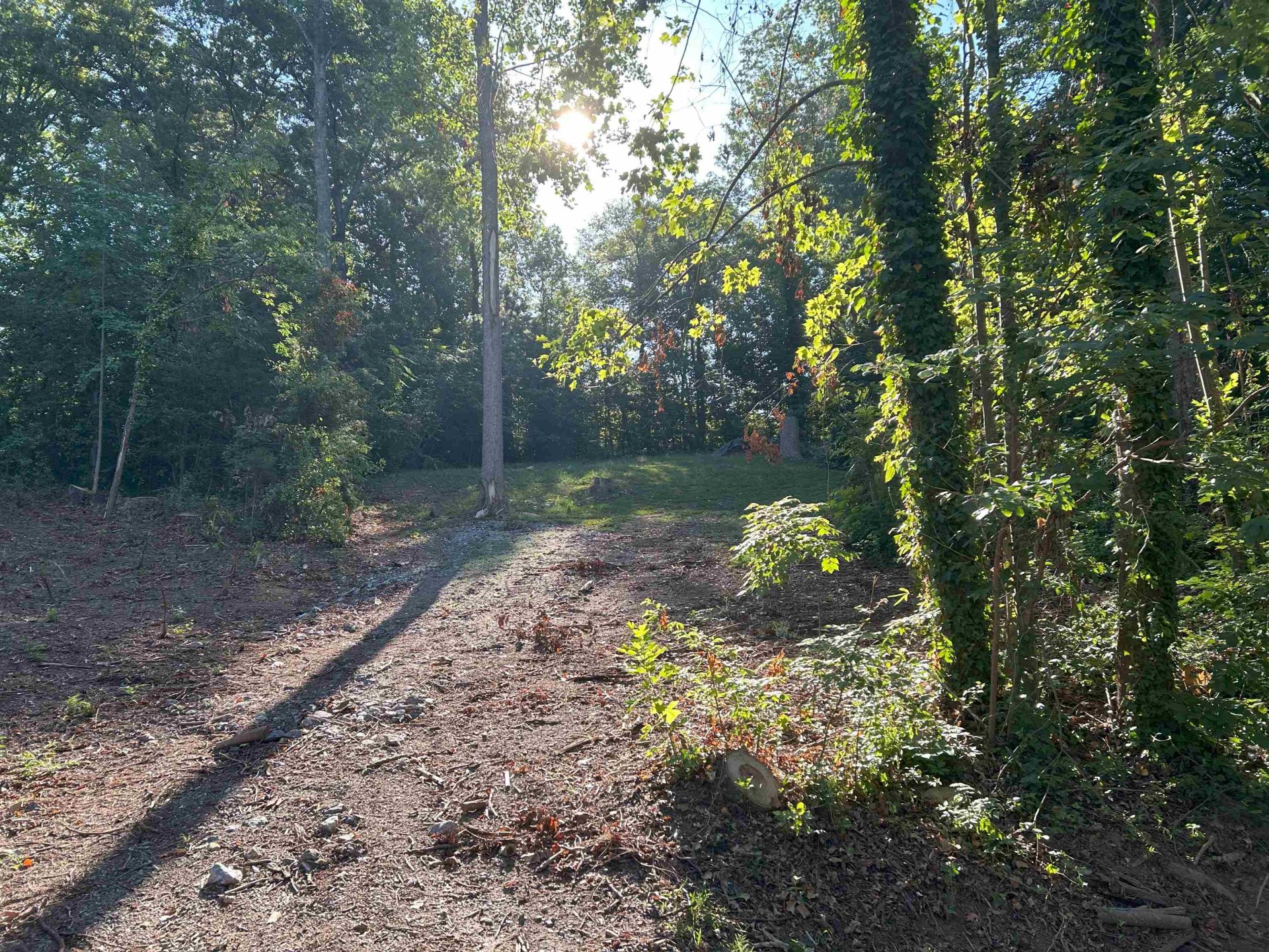 147 Lake Bowen Drive