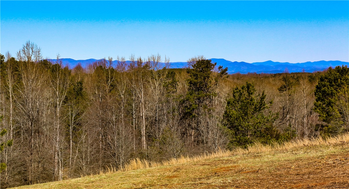 00 Hidden Falls Drive