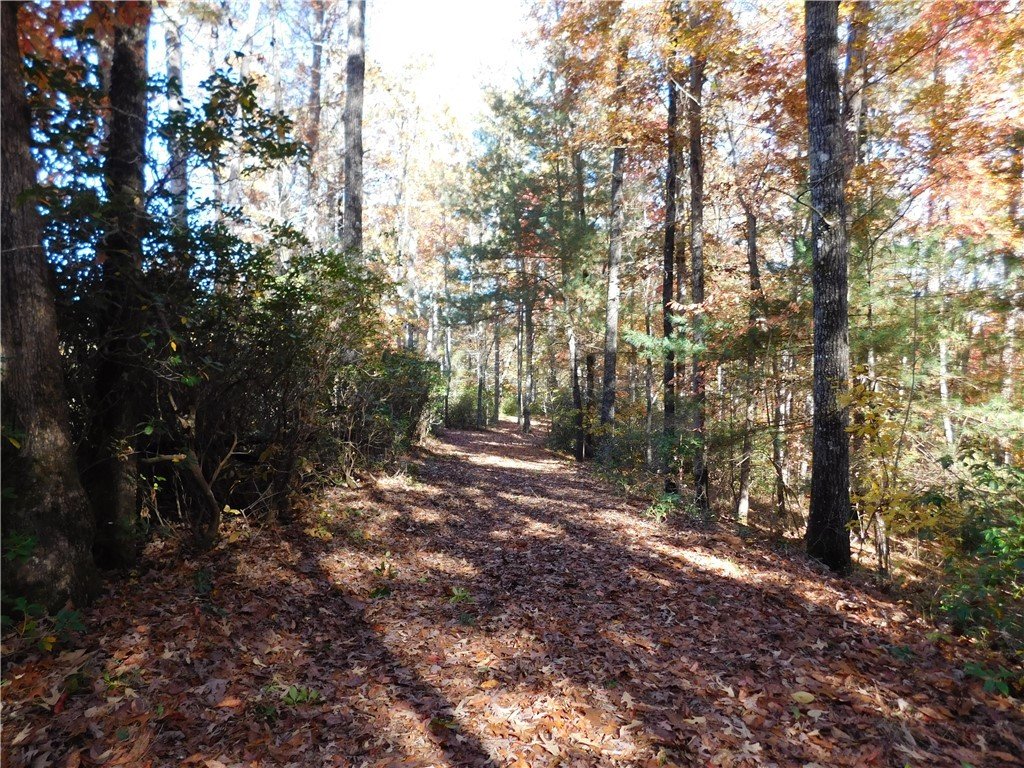 130 Cliffs Falls Parkway