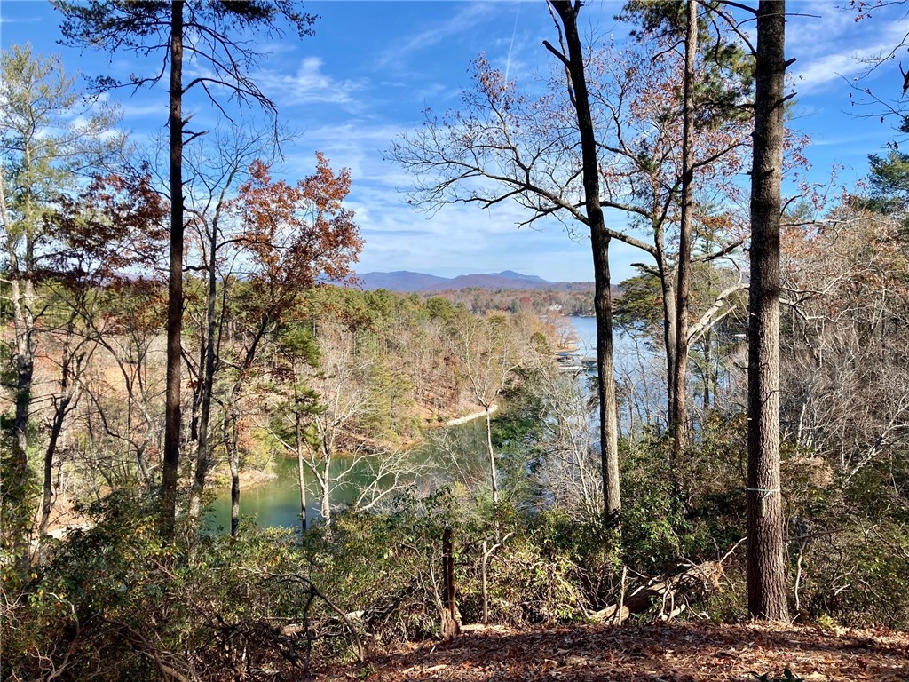 Lot 44R Turtlehead Drive