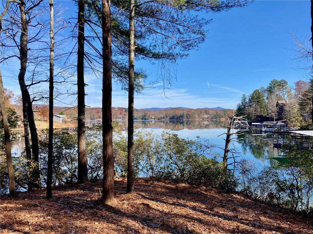 Lot 54 Turtlehead Drive